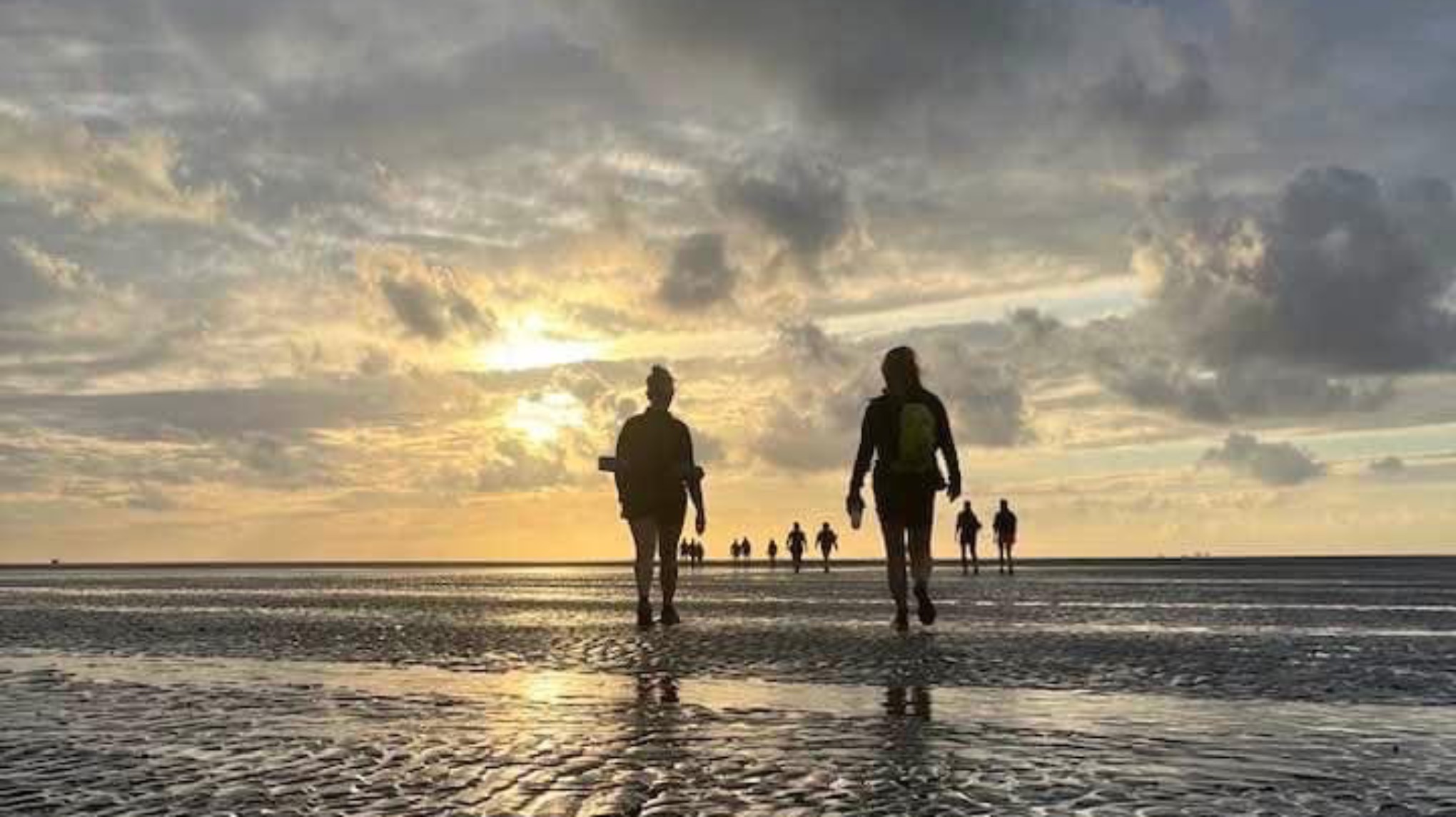 Wad’n Beleving in Stilte