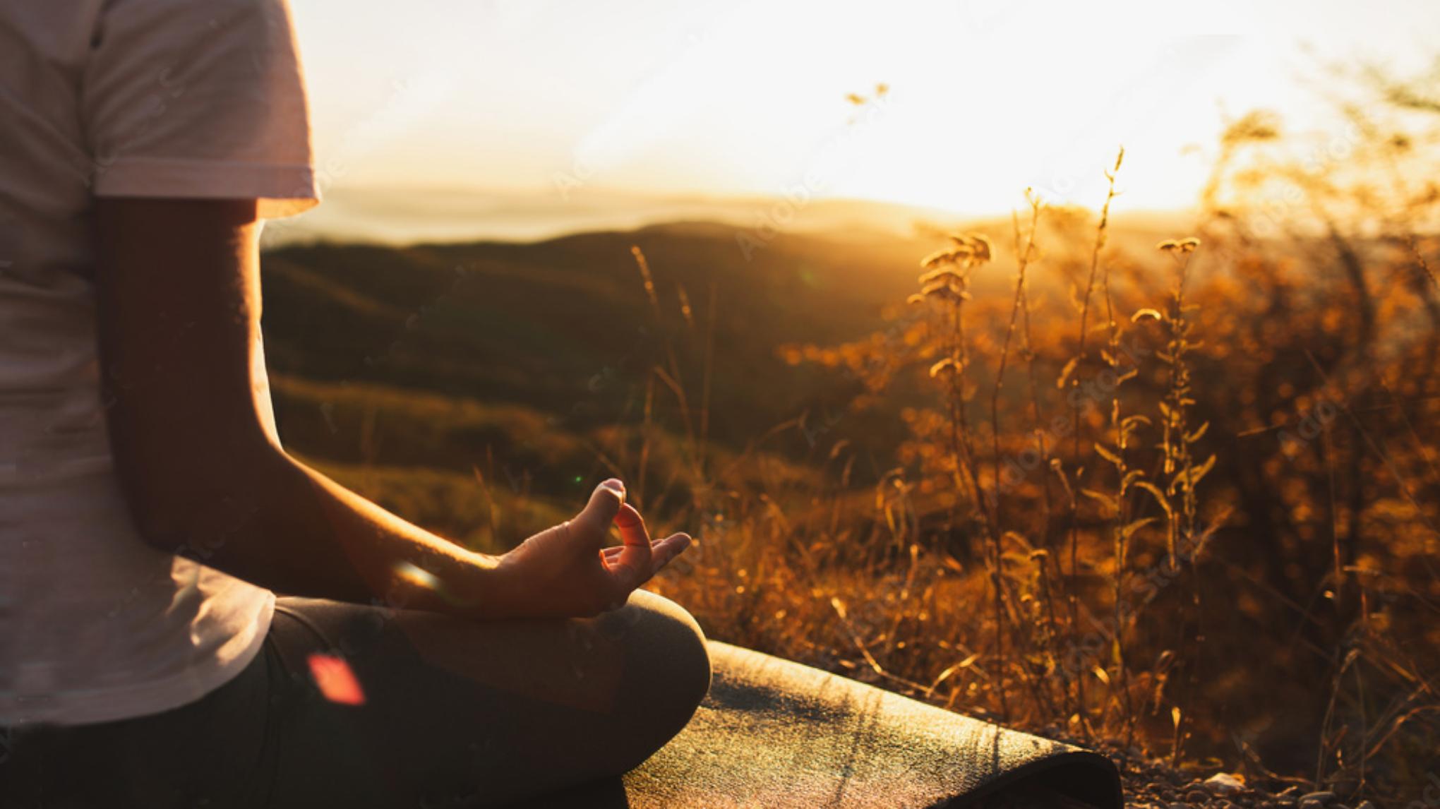 XL CLASS: FROM MOVEMENT TO STILLNESS