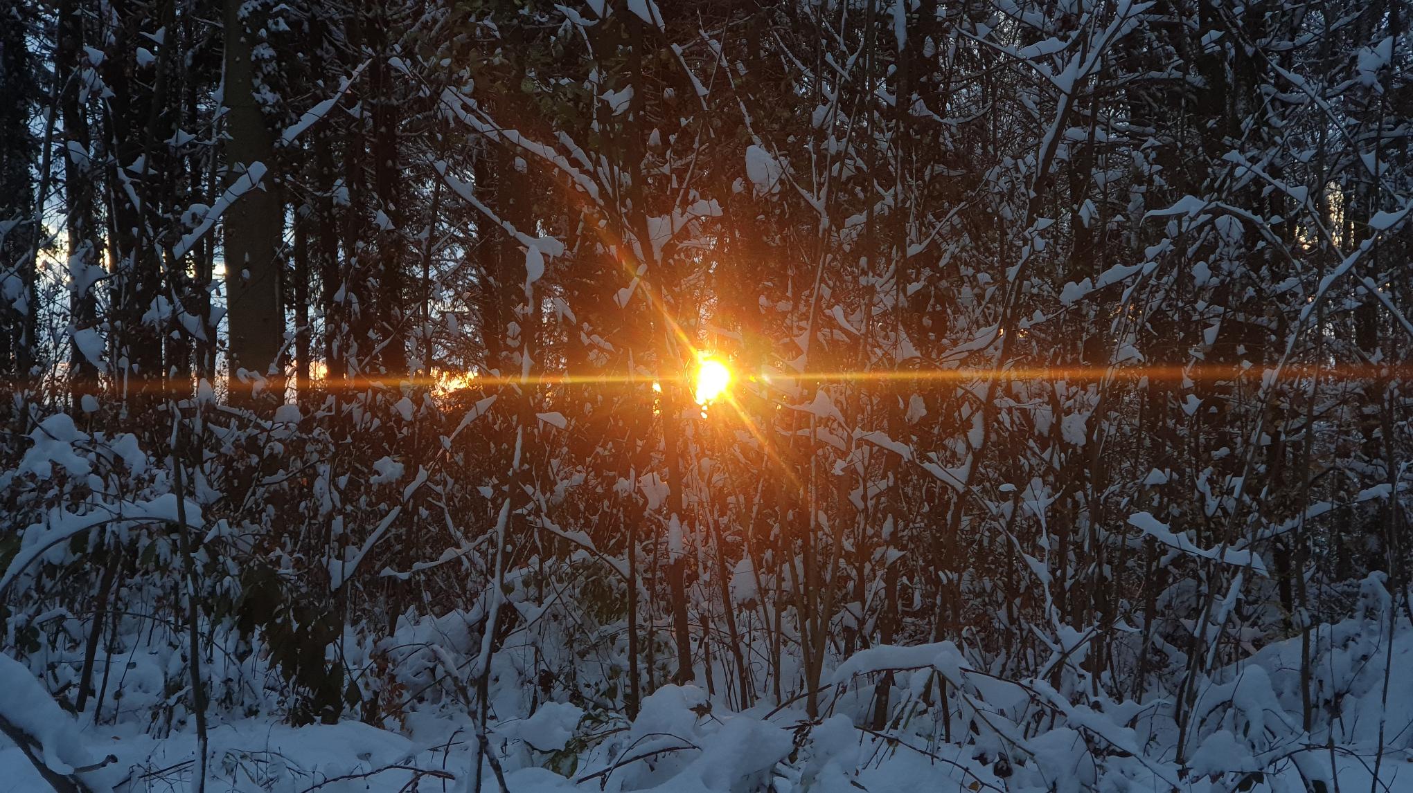 Yoga zur Wintersonnenwende