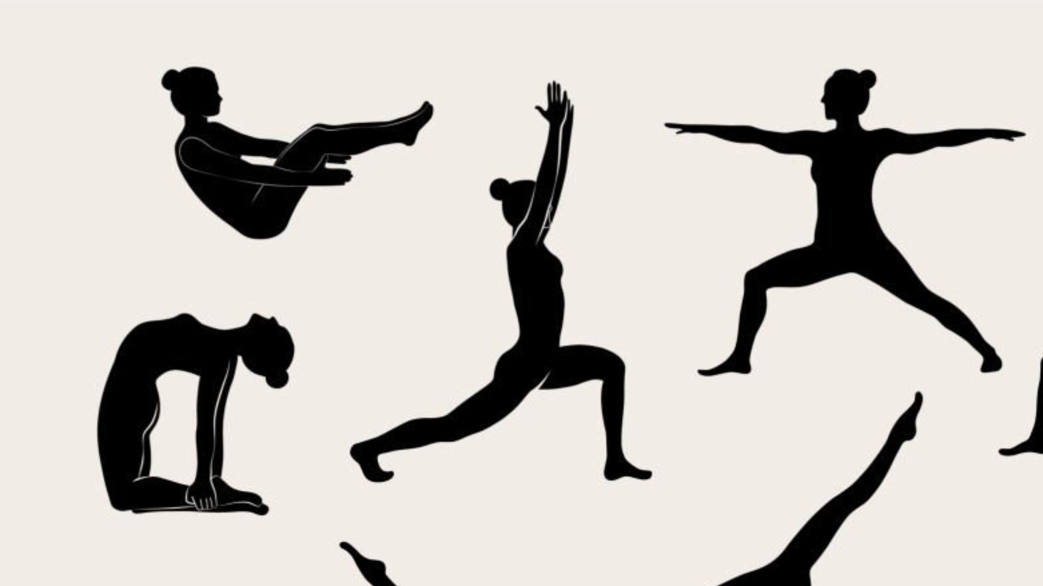 Vinyasa Alignment Yoga