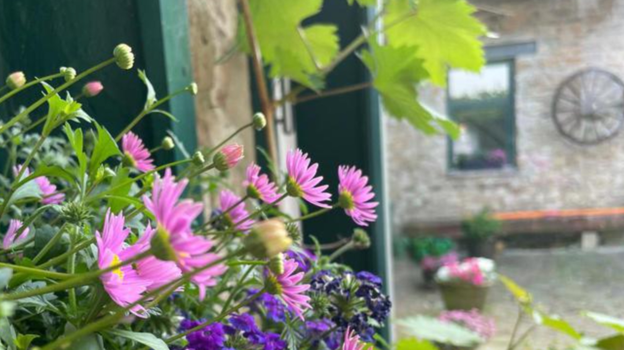 R E T R E A T - Selbstliebe kultivieren