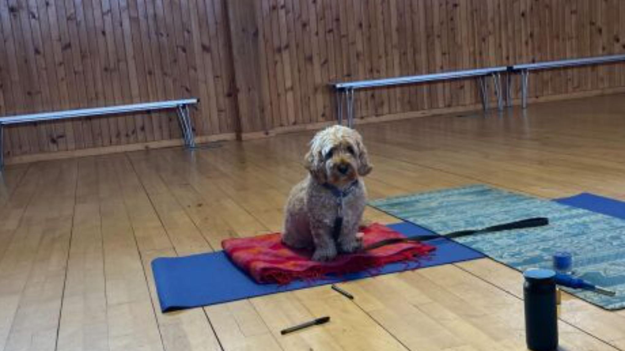 Seasonal Yoga Day Retreat