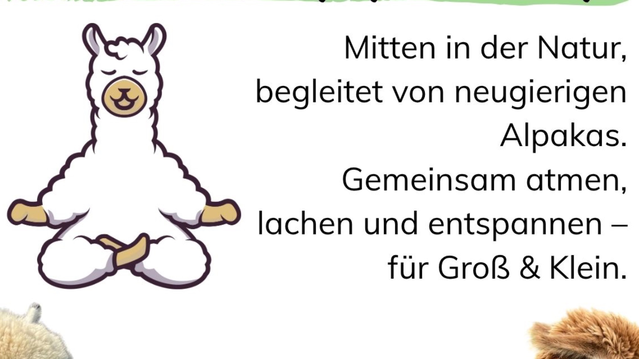 Familienyoga auf Katjas Alpakahof ab 3 Jahren