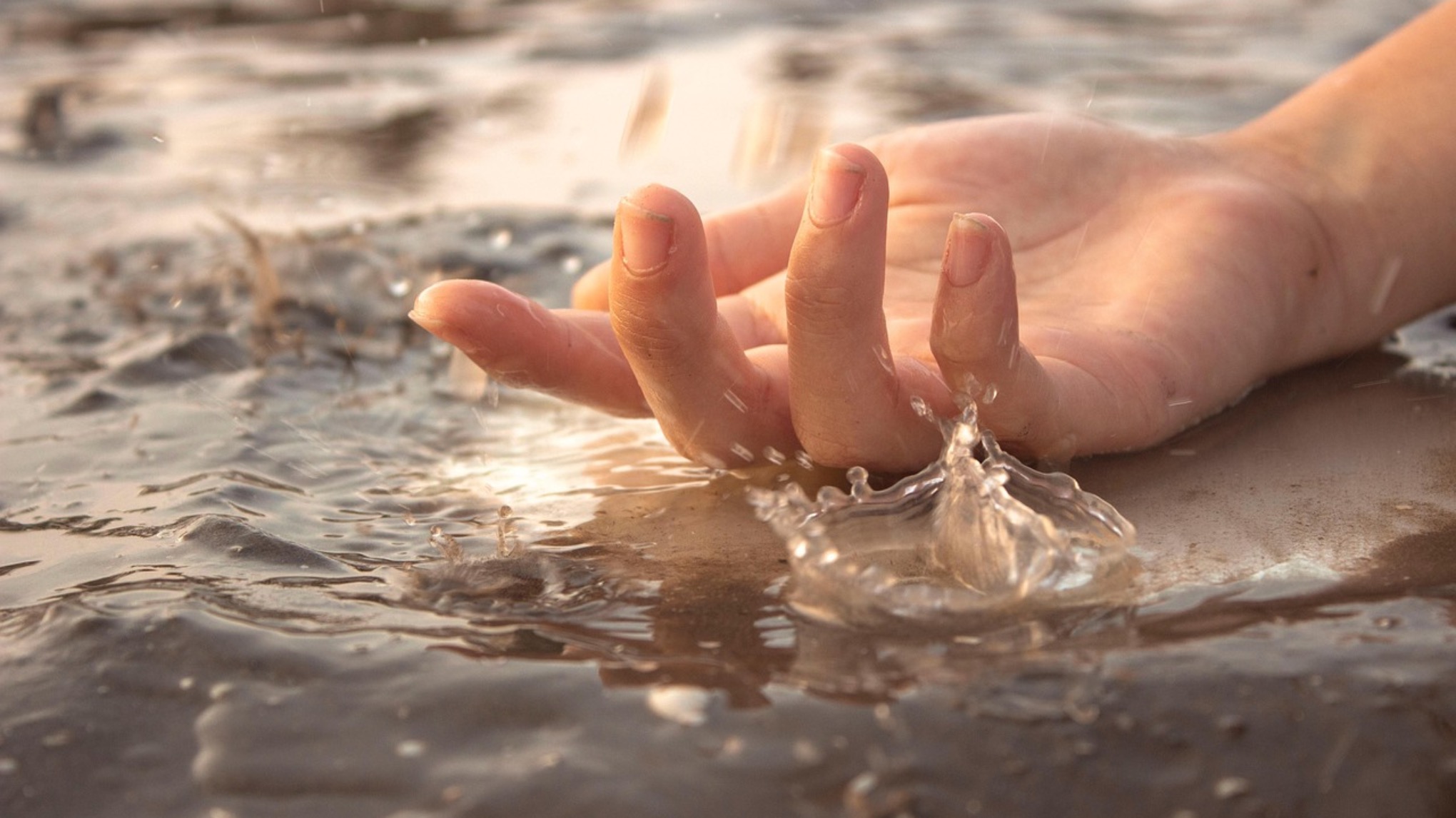 🜄 Adem de 4 elementen, WATER