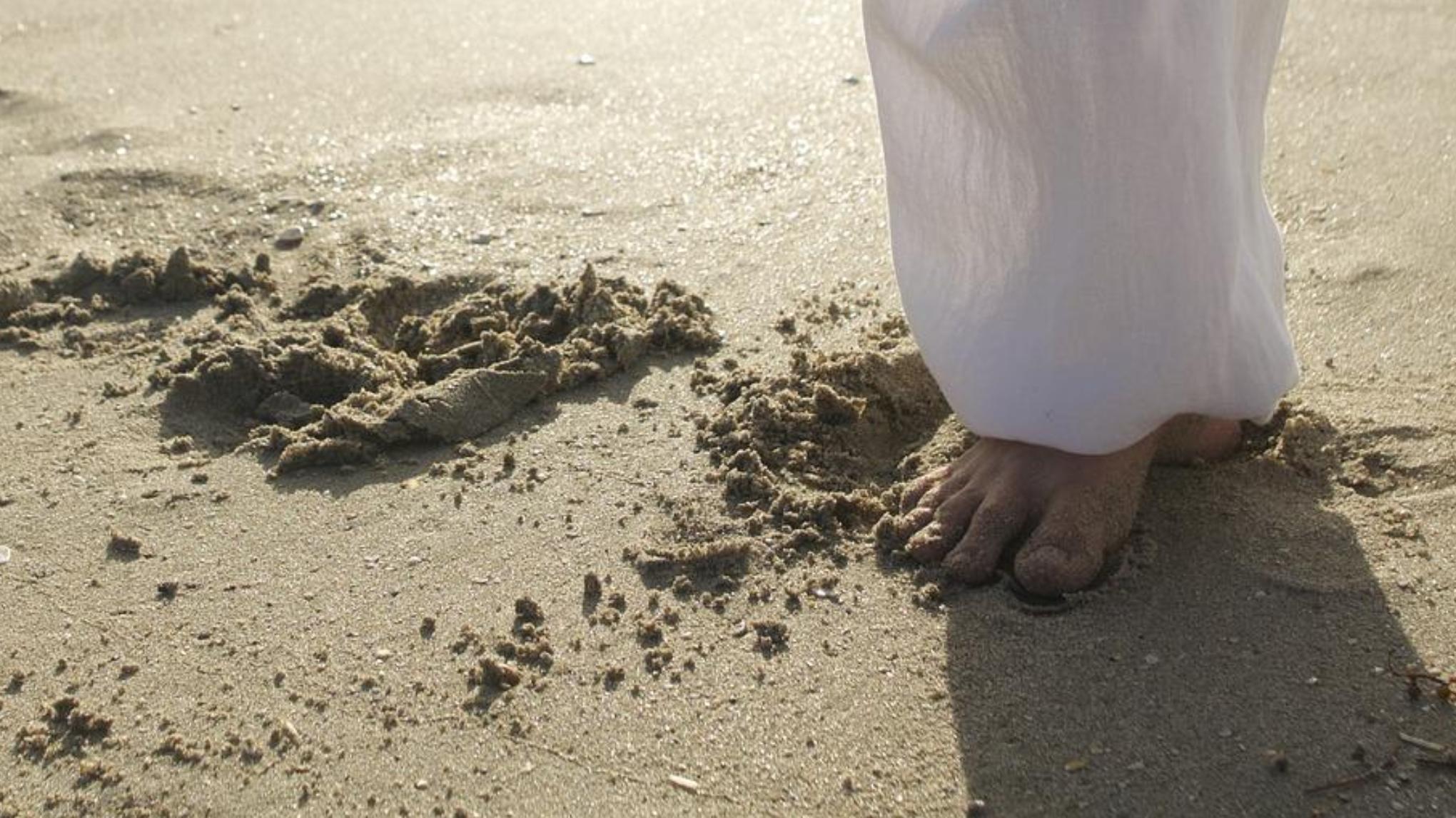 🏡 Qi Gong - avec MARIANNE DECOUVERTE