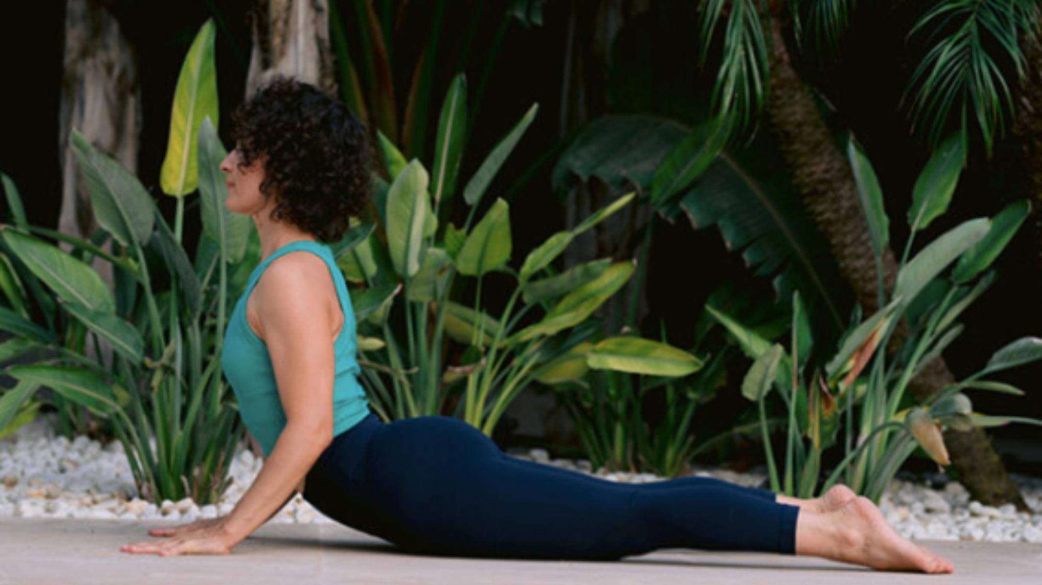 Formación: Alineación y técnica en el Yoga contemporáneo con DIANA NAYA