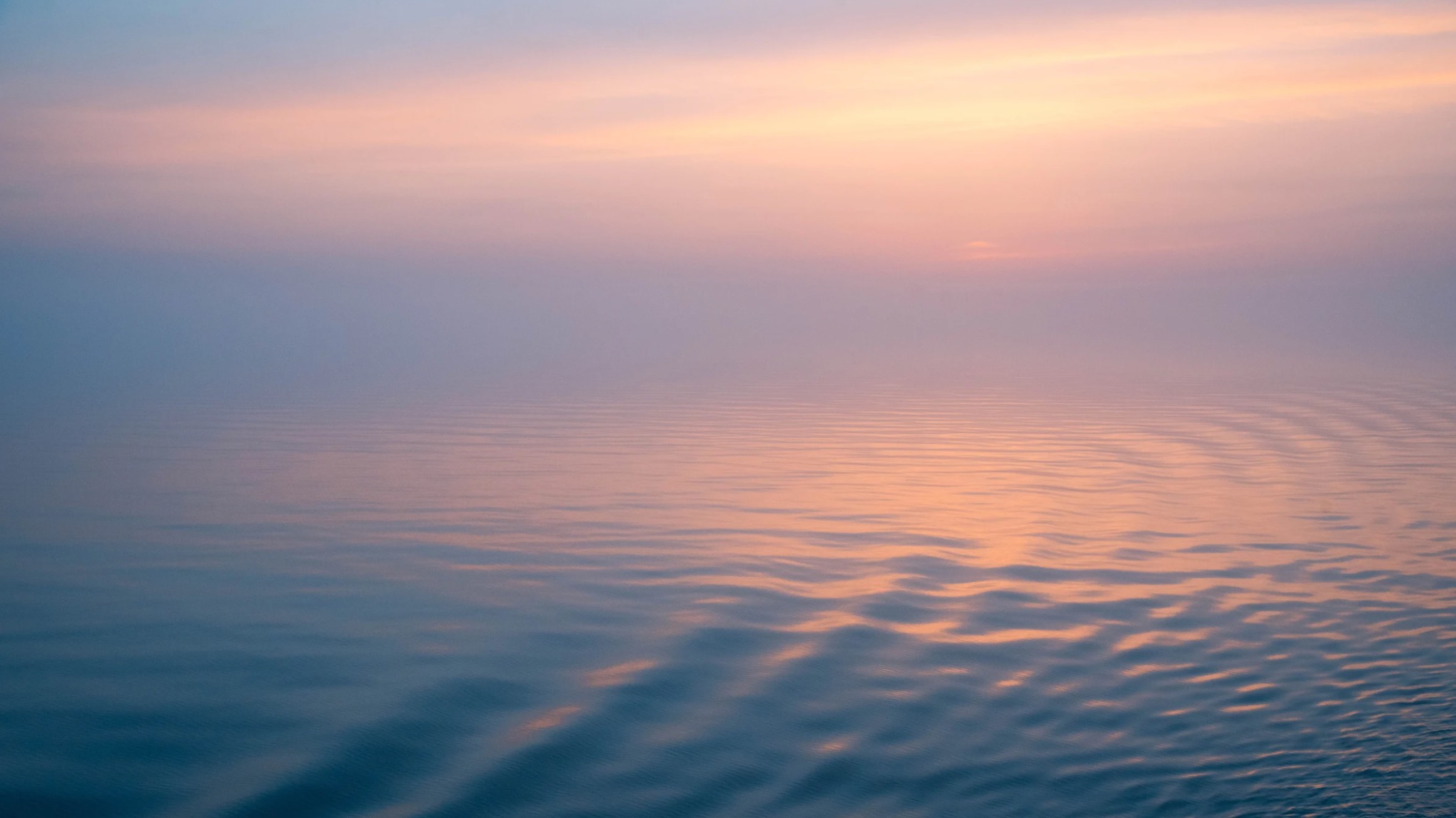 Kurs: Vinyasa 〰️ Flow & Glow (8 måndagar)