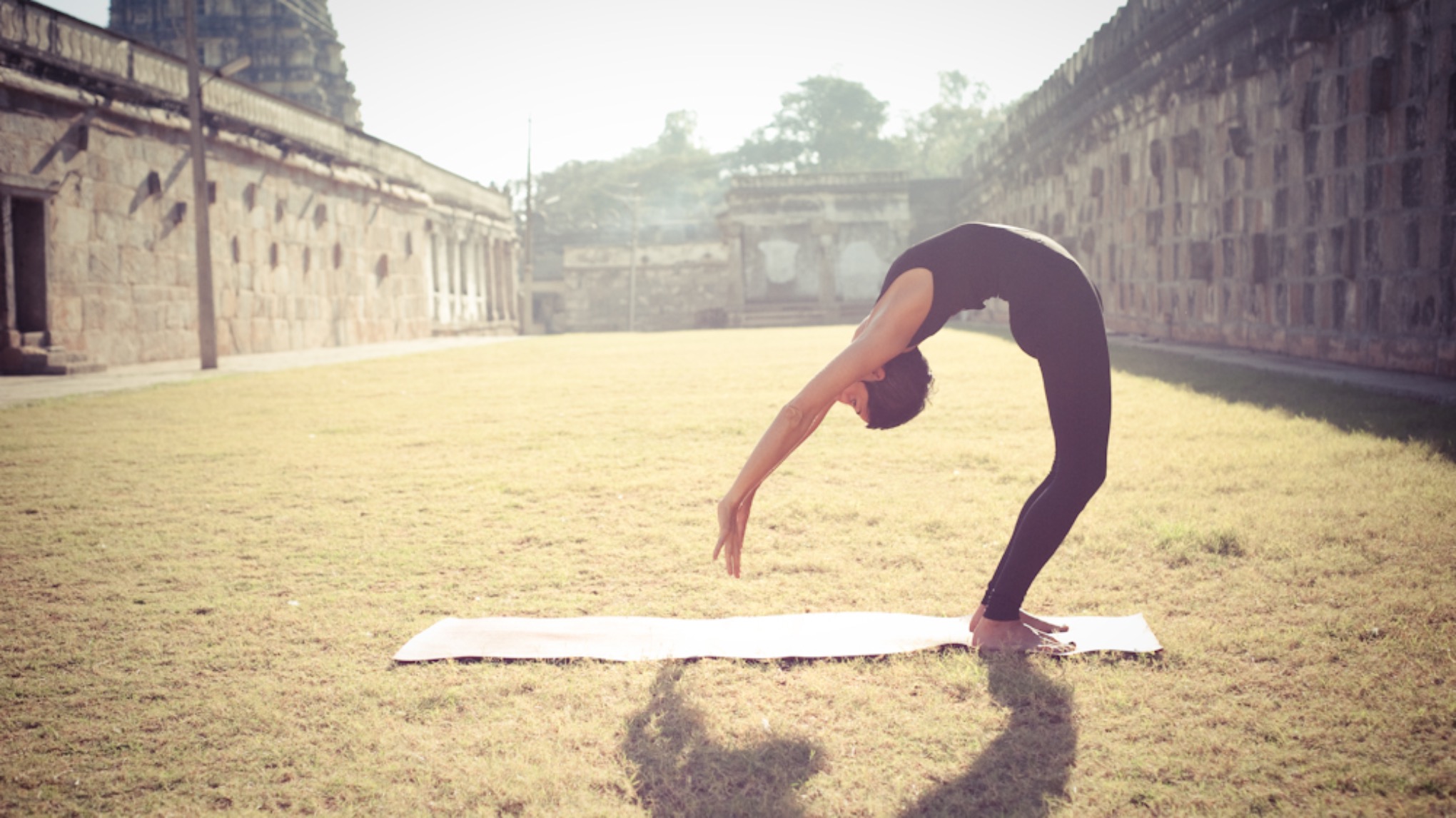 Stage Intensif  d'été ashtanga (hors débutant)