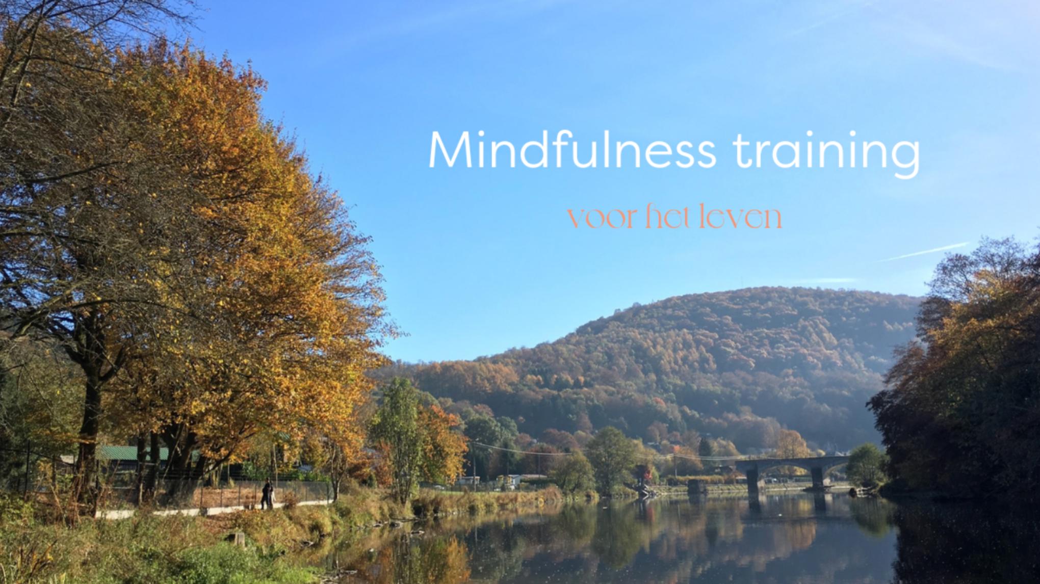 Mindfulness en Stressreductie training
