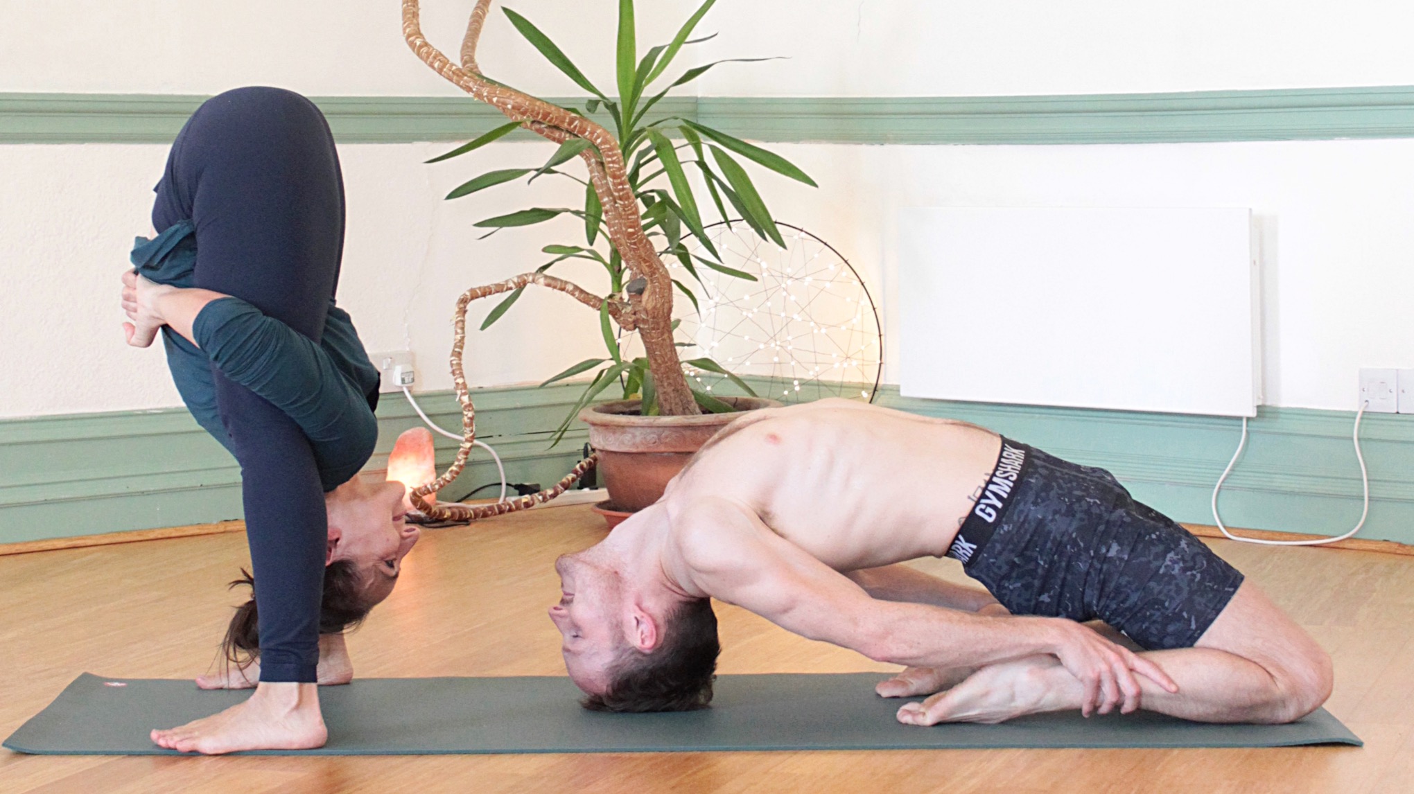 Just Common Senses: Back & Forth