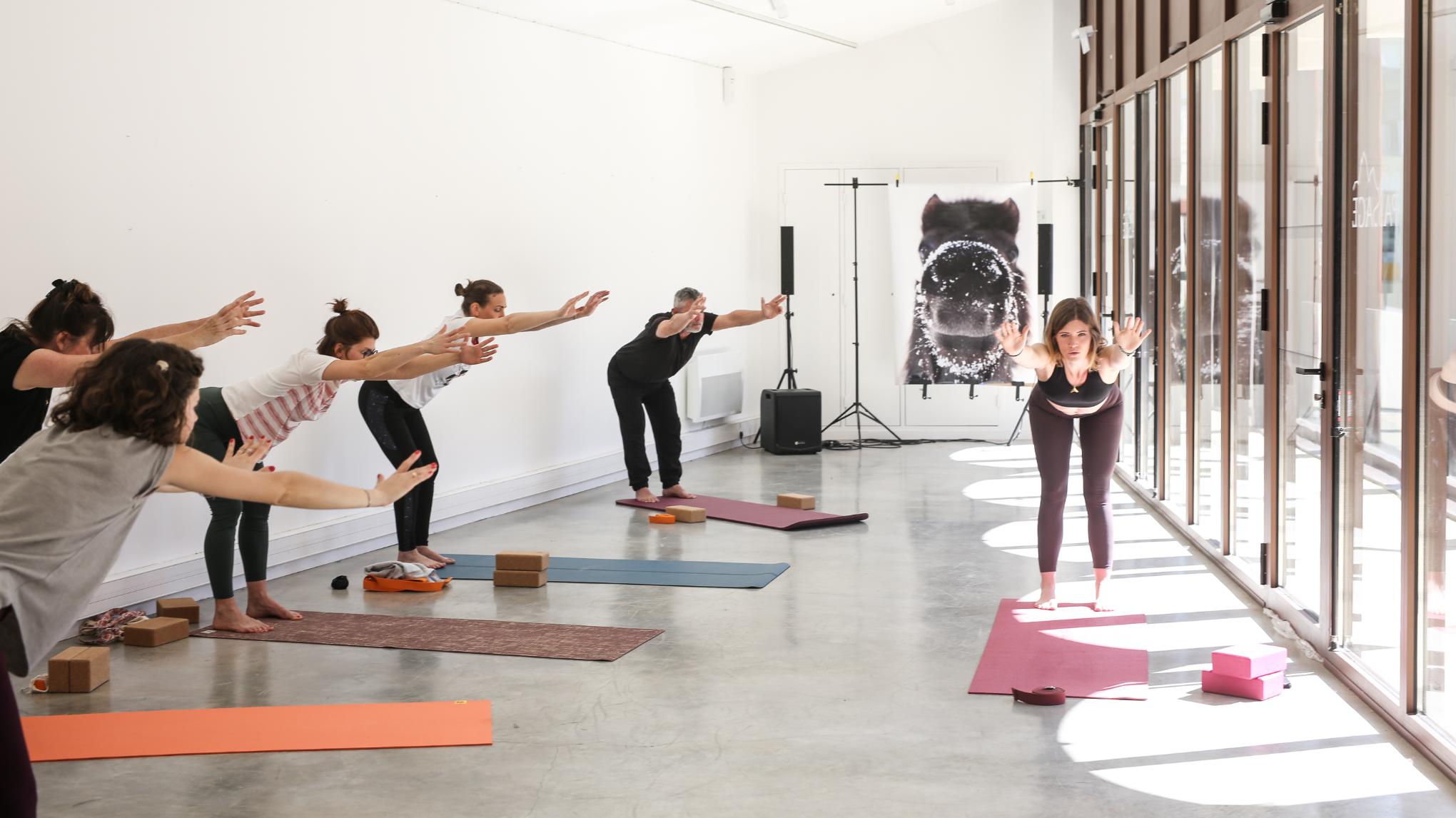 journée stage hatha yoga intégral 🕉️