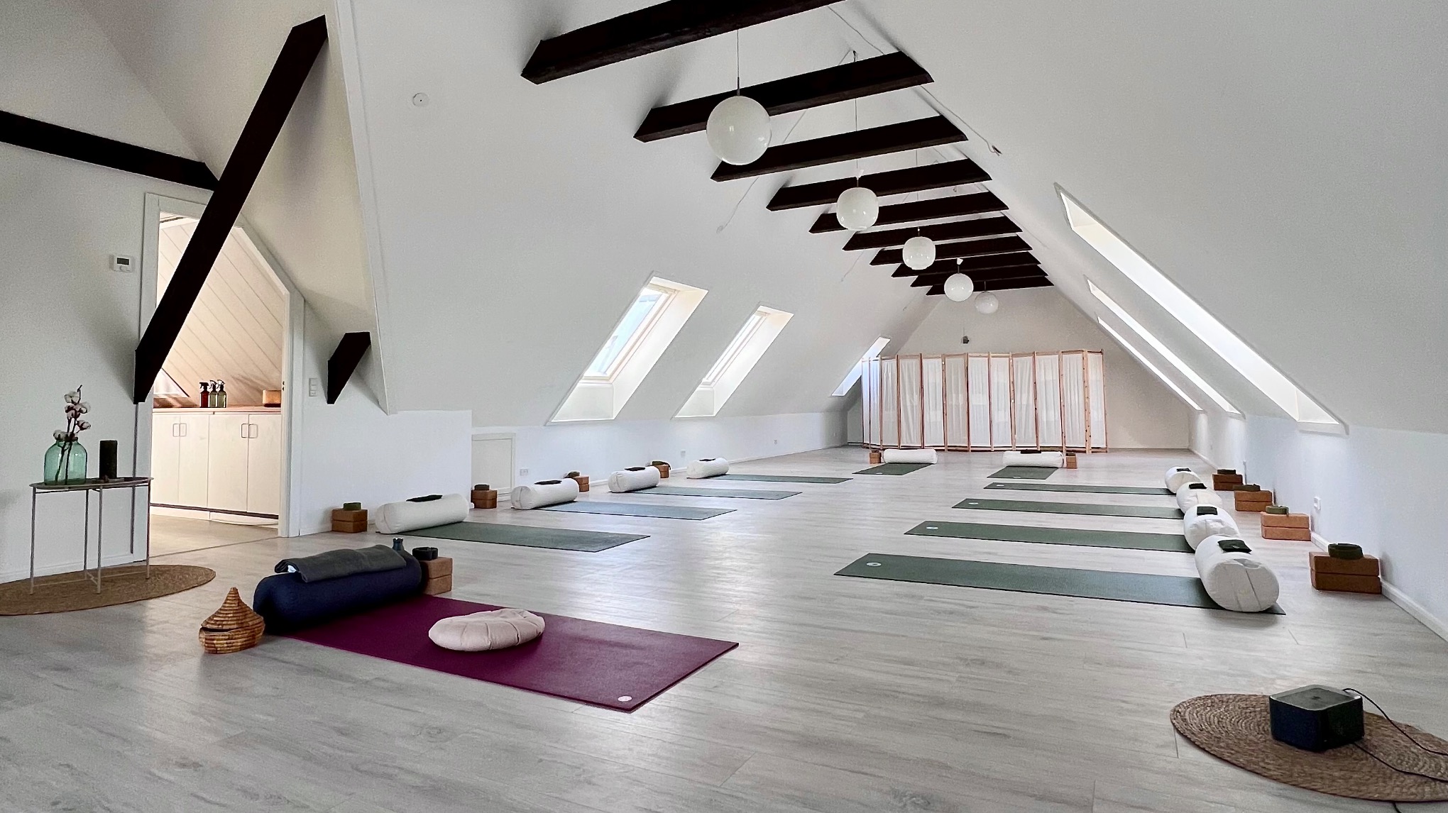 INTERNATIONAL YOGA DAG