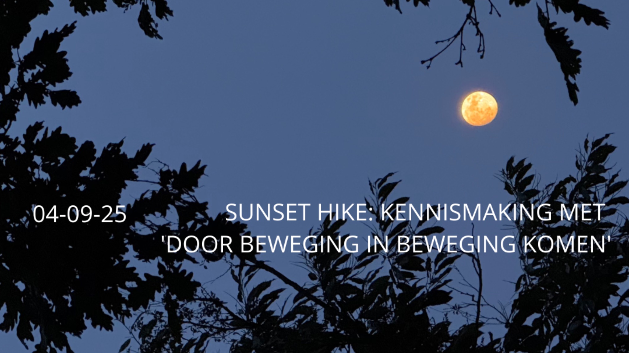 sunset hike: KENNISMAKING MET 'DOOR BEWEGING IN BEWEGING KOMEN'