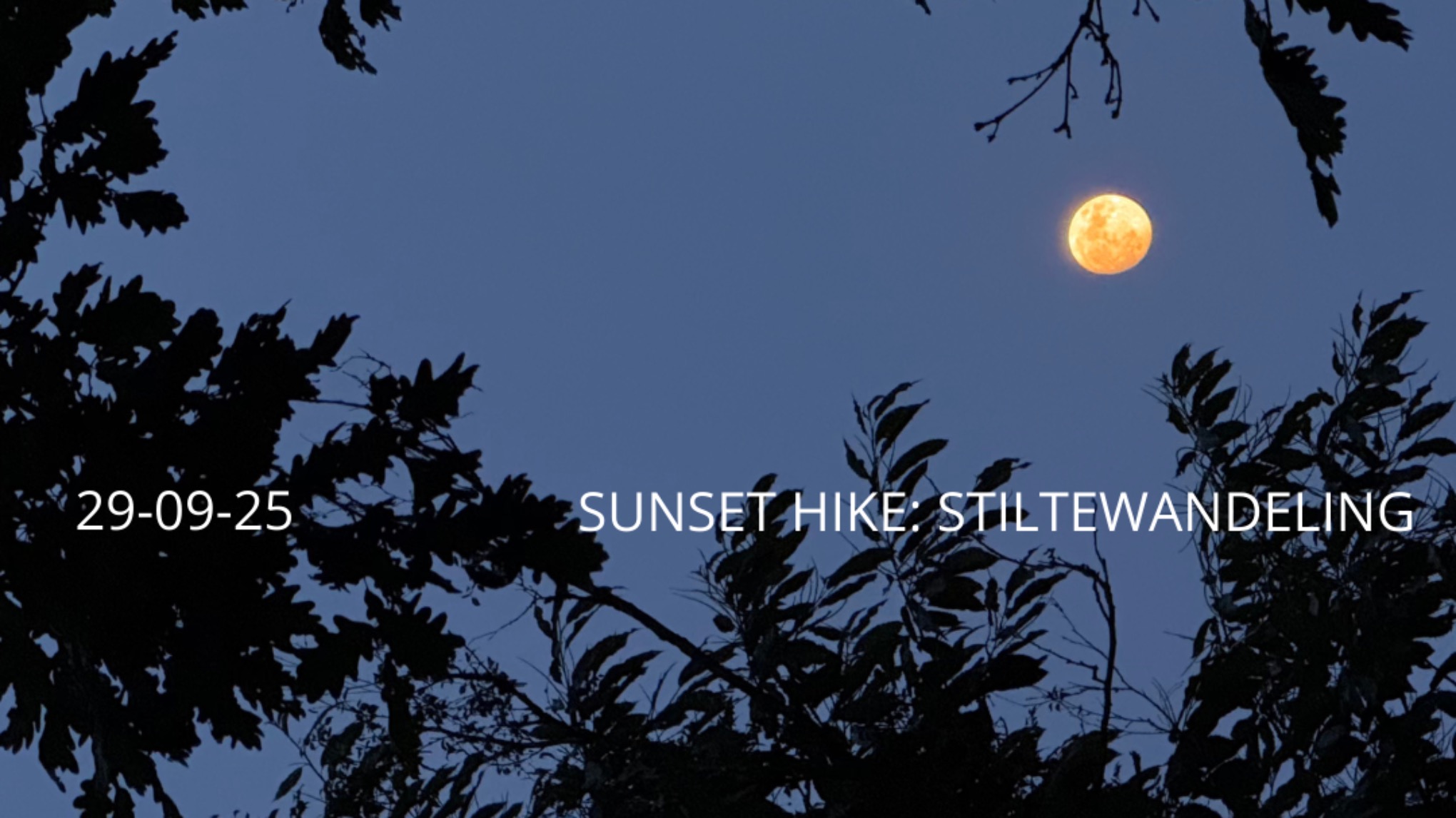 sunset hike: stiltewandeling