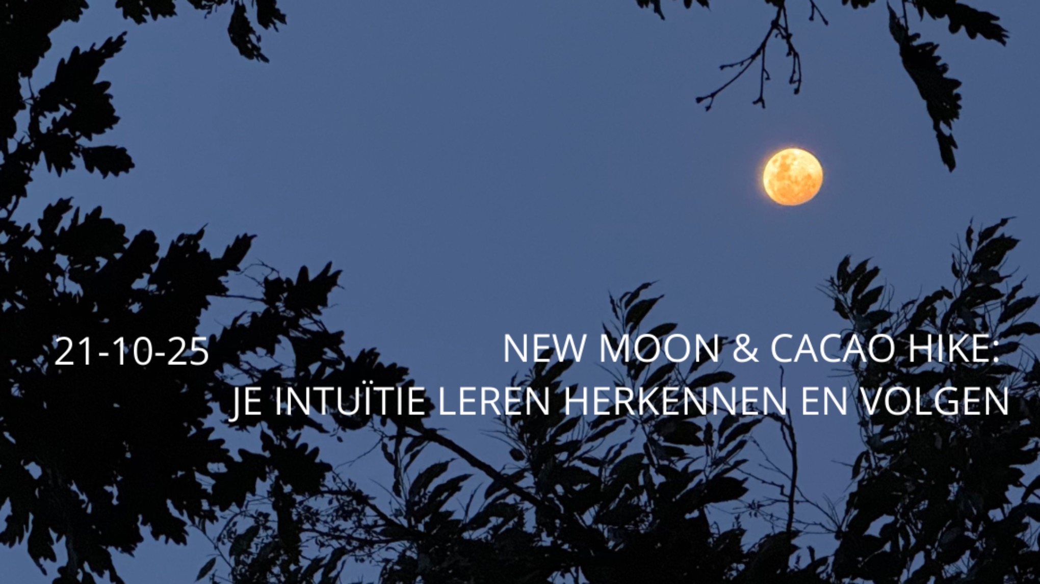 MHW: new moon & CACAO hike: je intuïtie leren herkennen en kunnen volgen