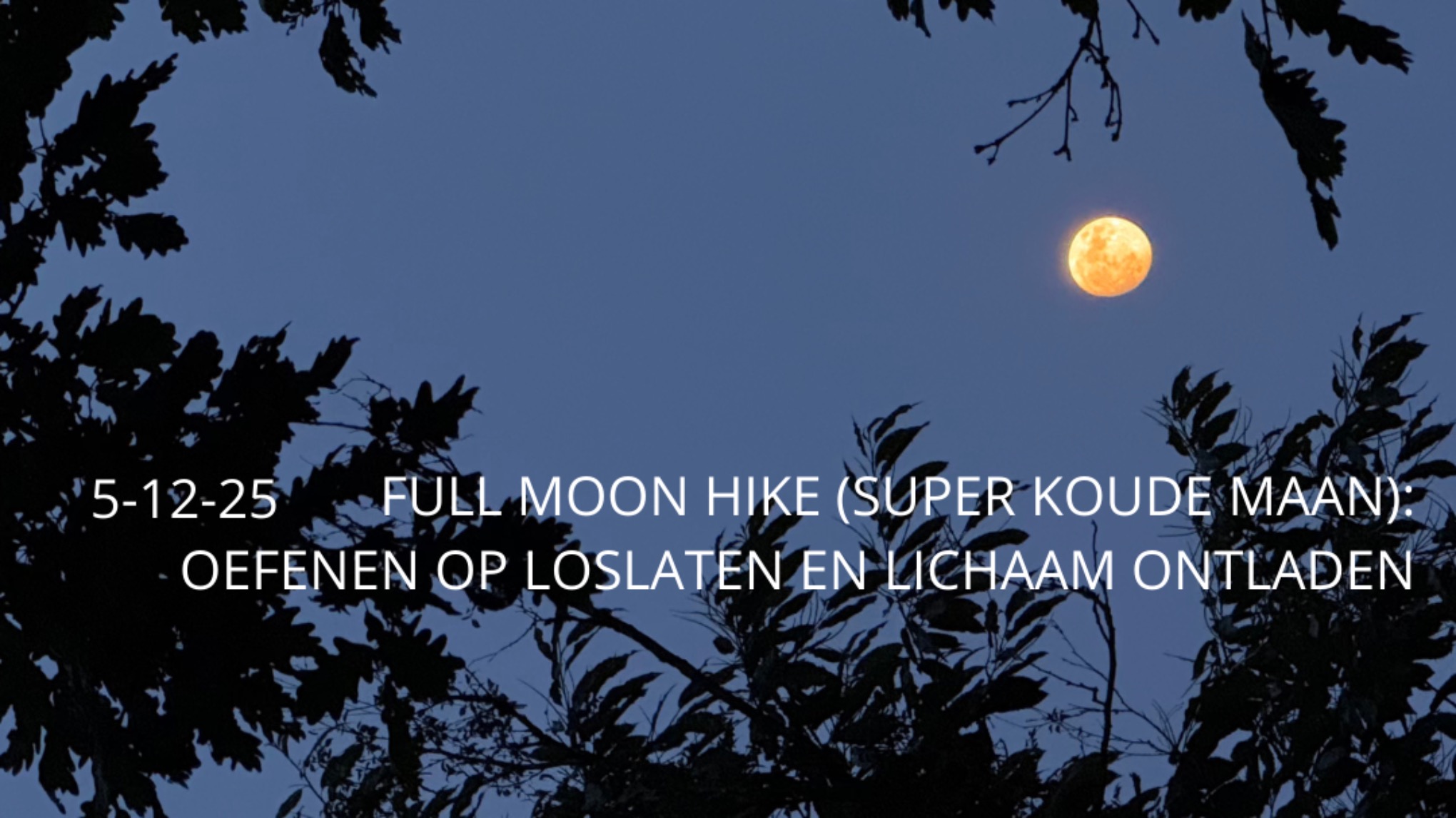 MHW: full moon (super Koude Maan): oefenen op loslaten en lichaam ontladen