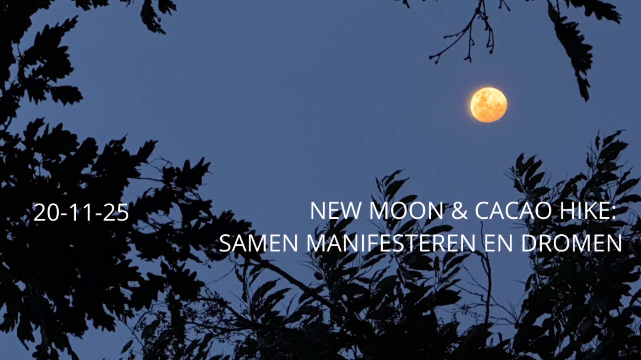 MHW (Leuven): new moon & CACAO hike: samen manifesteren en dromen