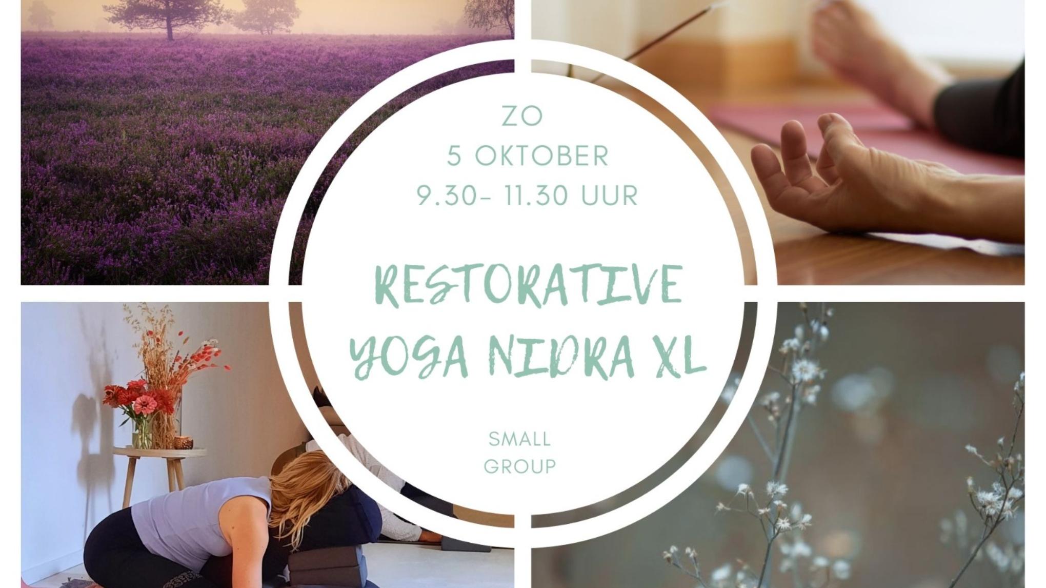 Restorative Yoga Nidra XL *small group*