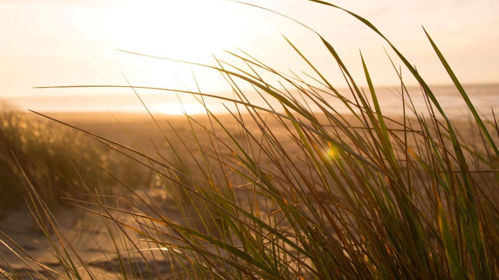 Retreat jezelf dag | Met aandacht voor de psoas