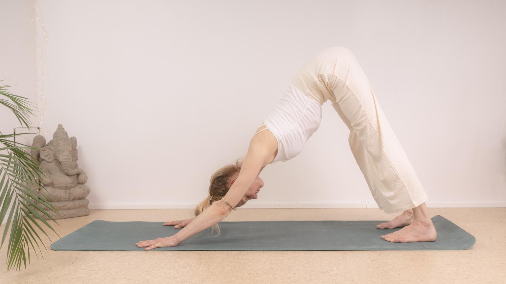 Ananda Yoga