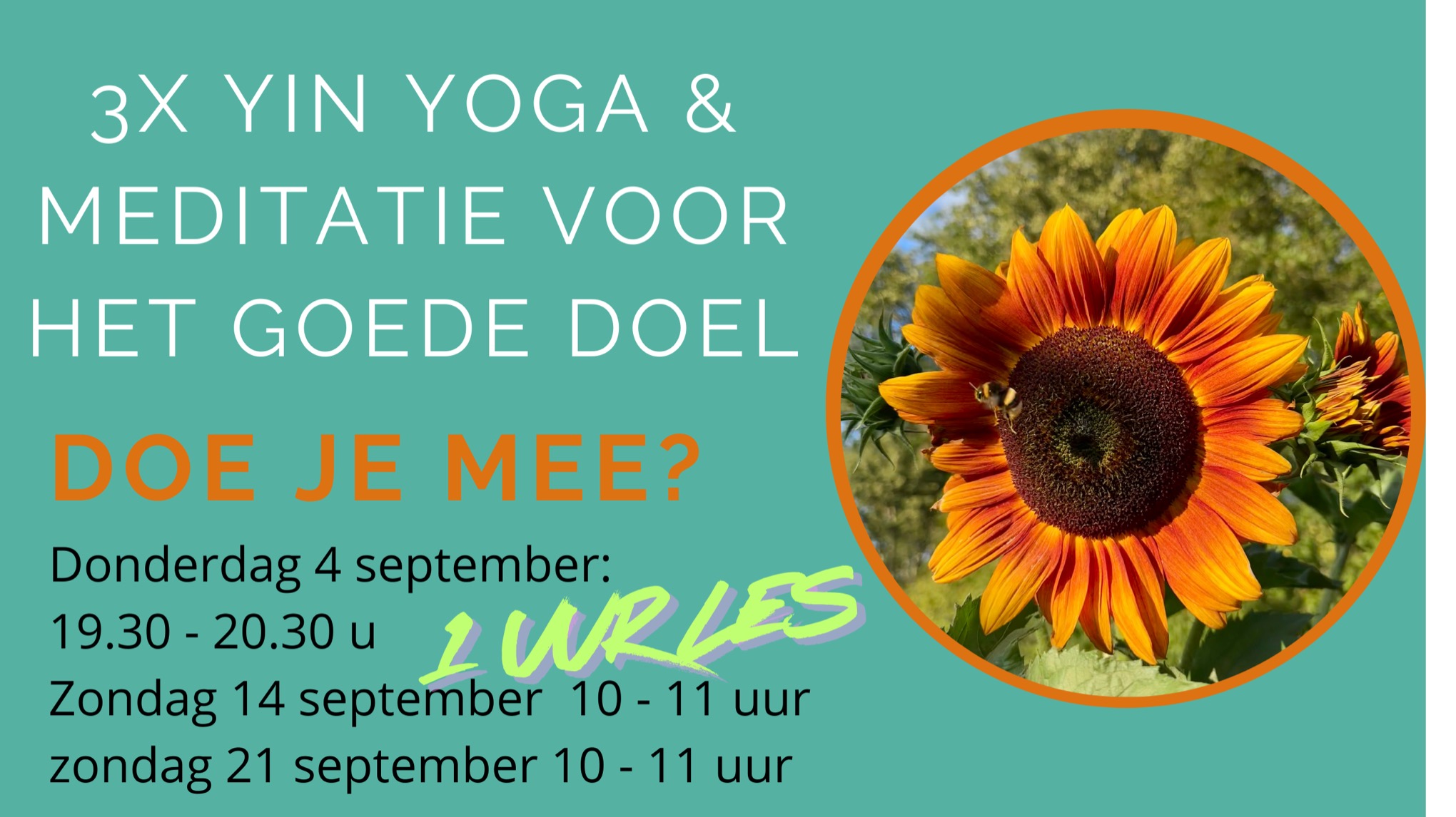 Yoga 2.  voor het goede doel   : bij boeking selecteren contant betalen.