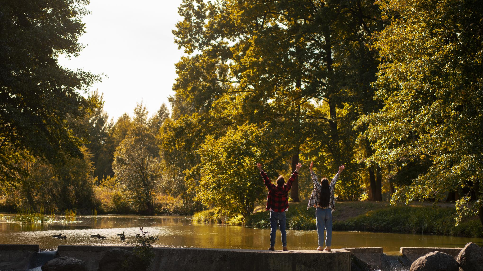 MARCHE MEDITATIVE en forêt