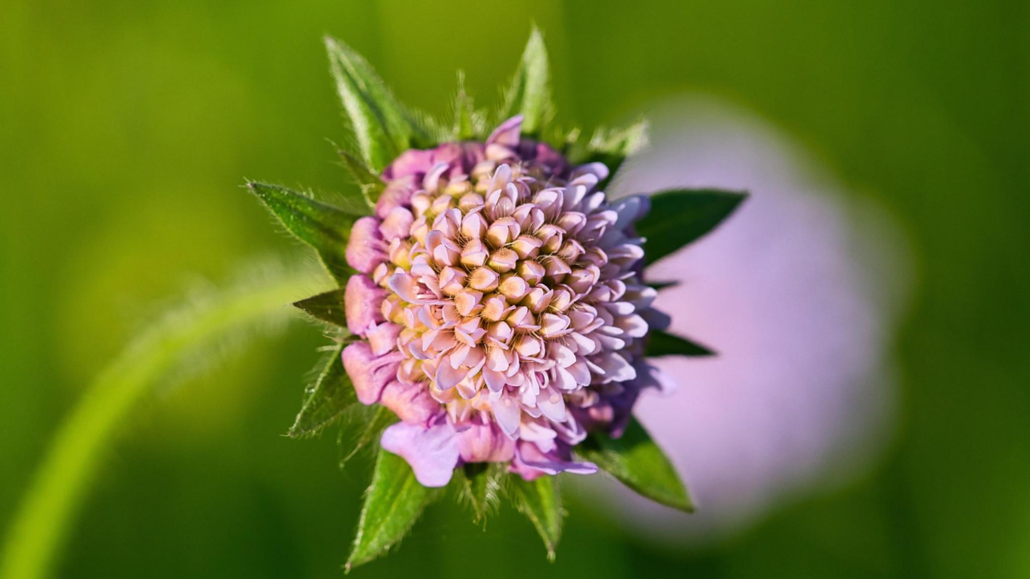 Yogaretraite ~ 30 oktober t/m 2 november 2025