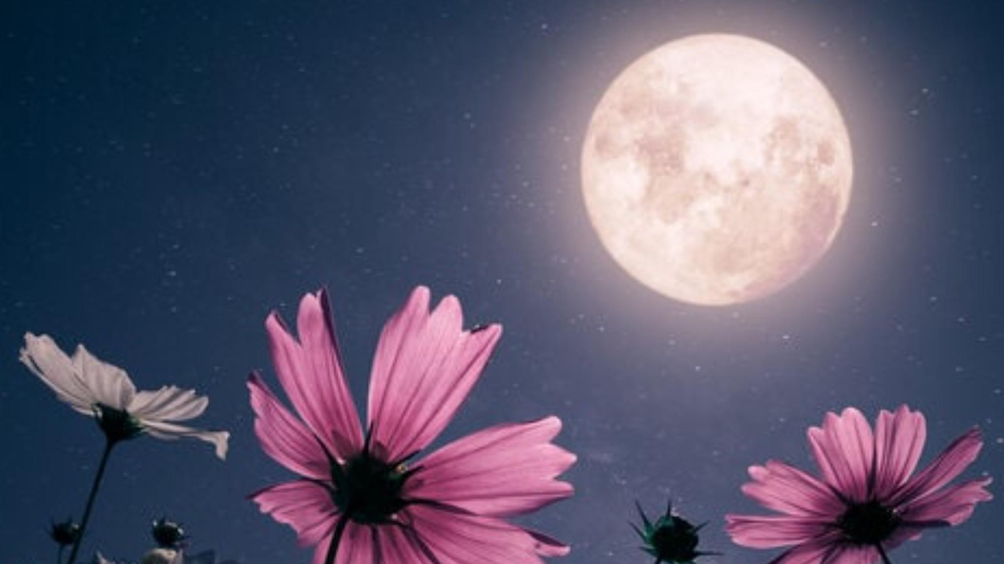 WELCOMING THE OCTOBER FULL MOON with a HEART OF GOLD with Leila Joffe