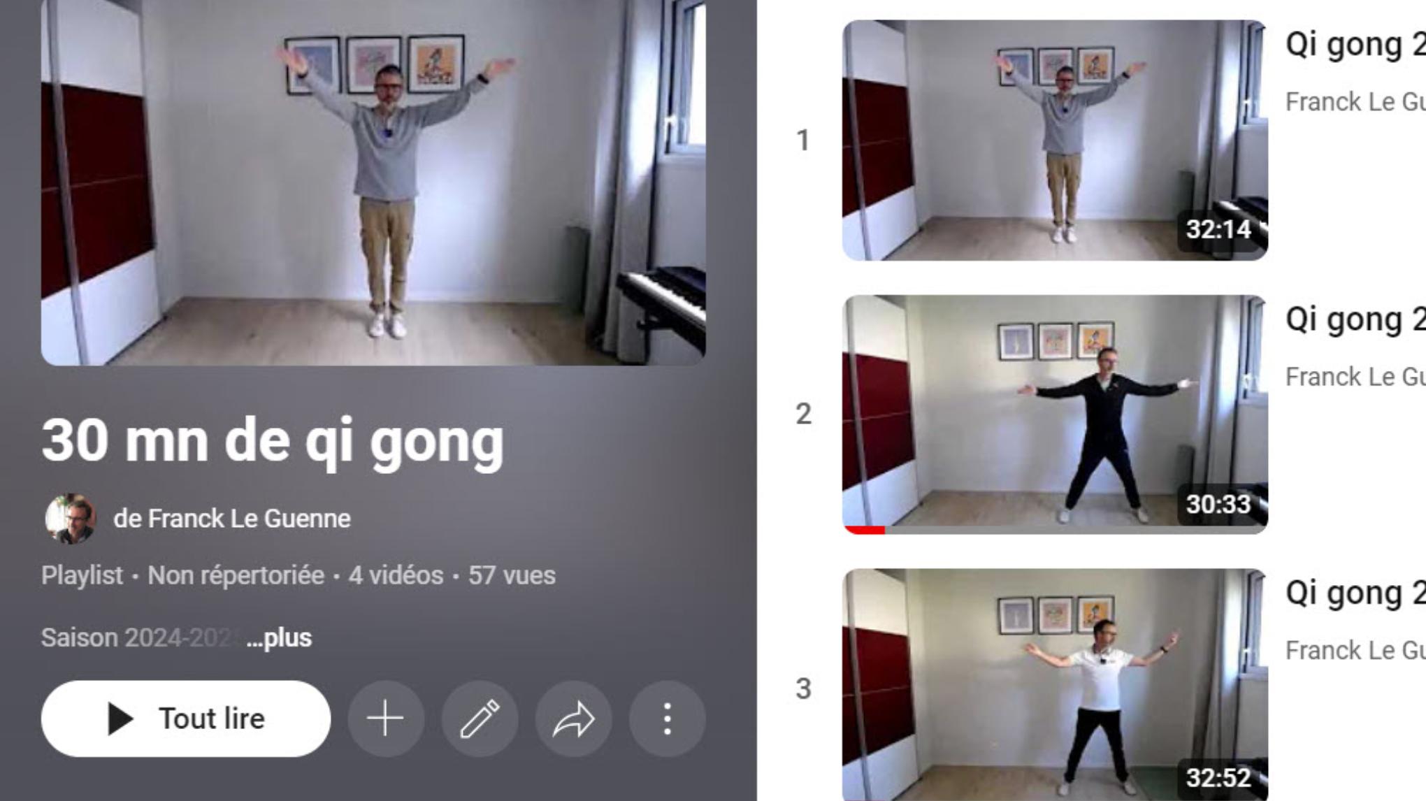 Qi gong en visio et replay