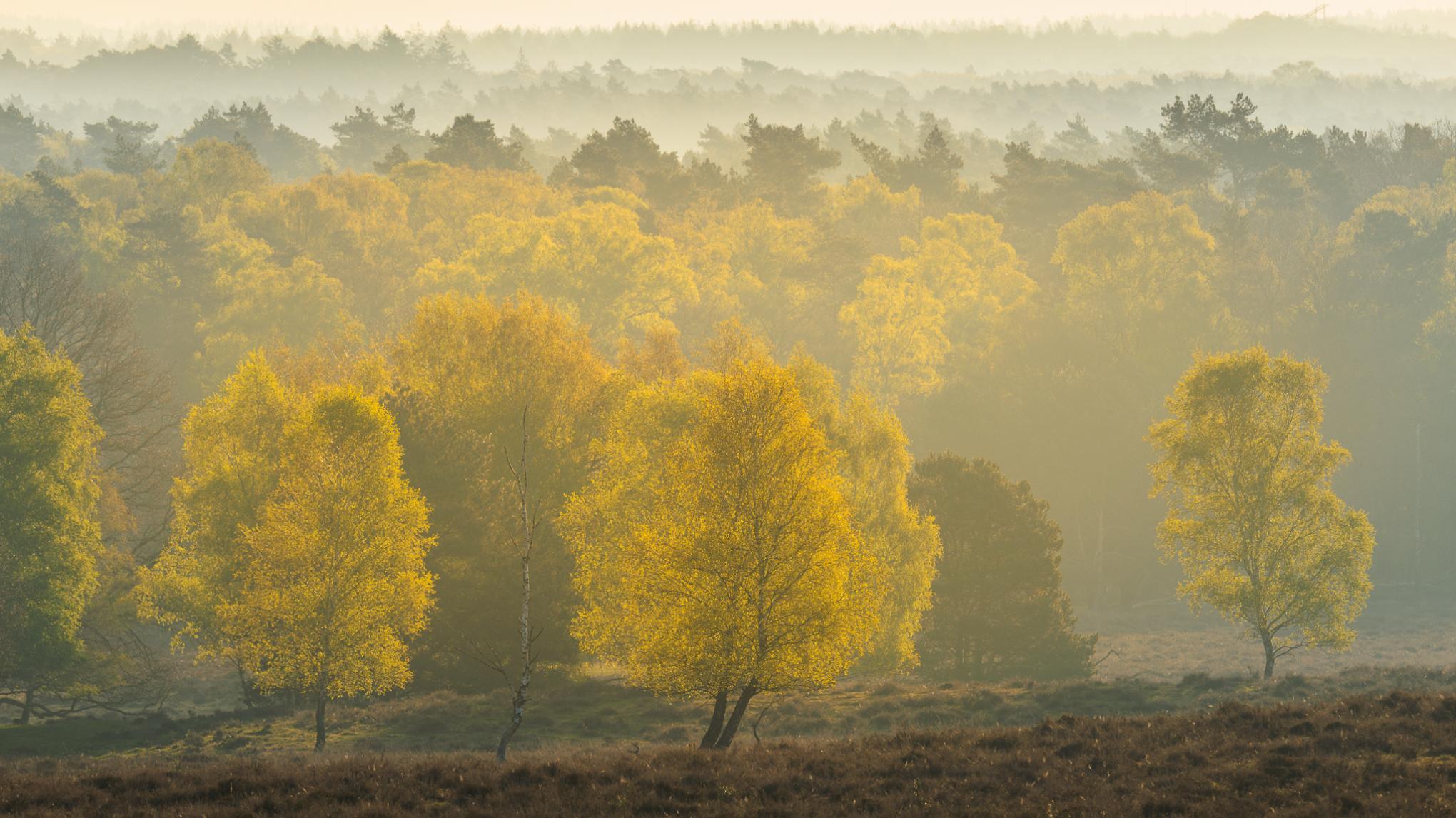 Good Vibez yogaweekend