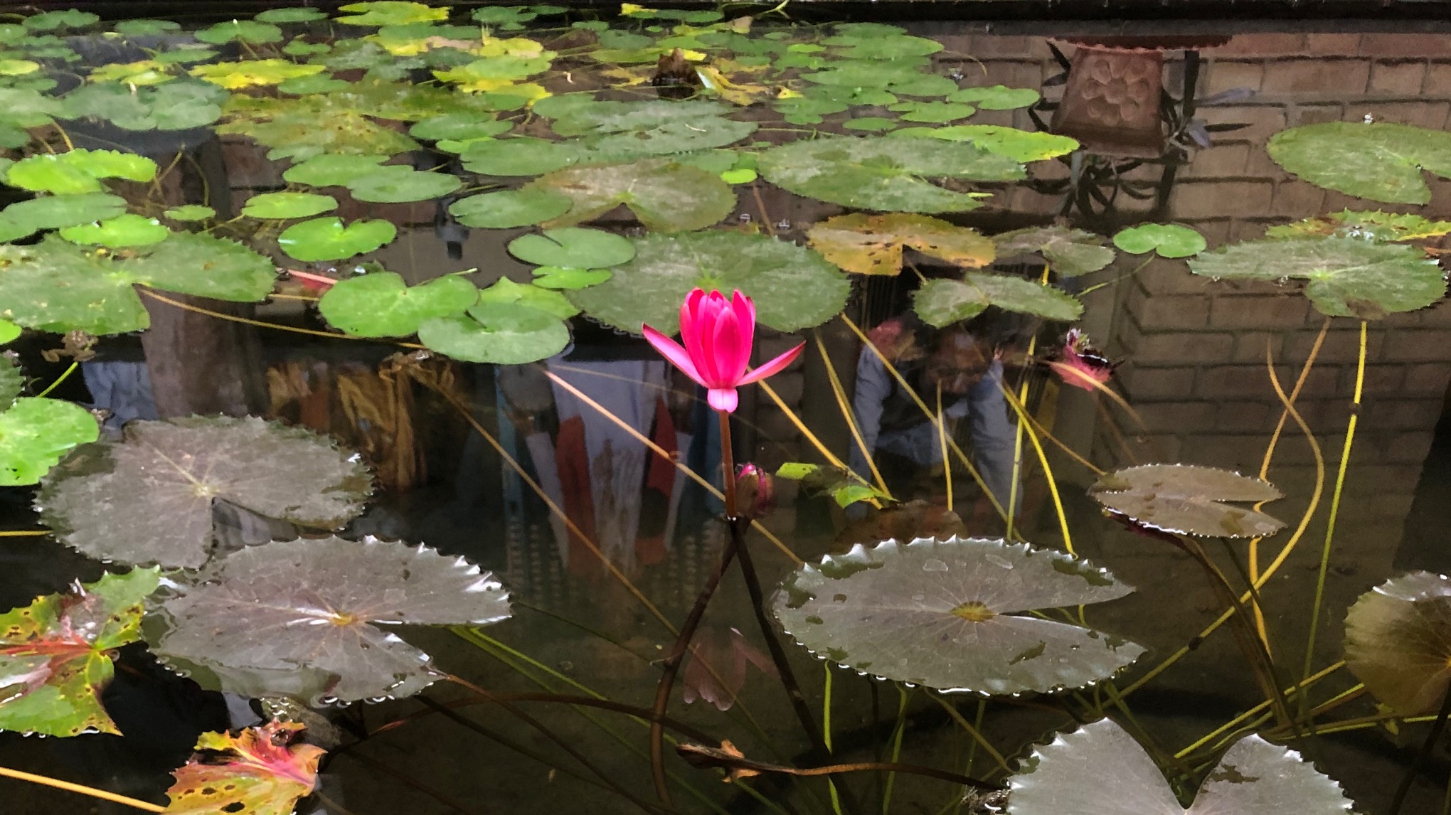 DÉFI « JE MÉDITE QUOTIDIENNEMENT PENDANT 21 JOURS »