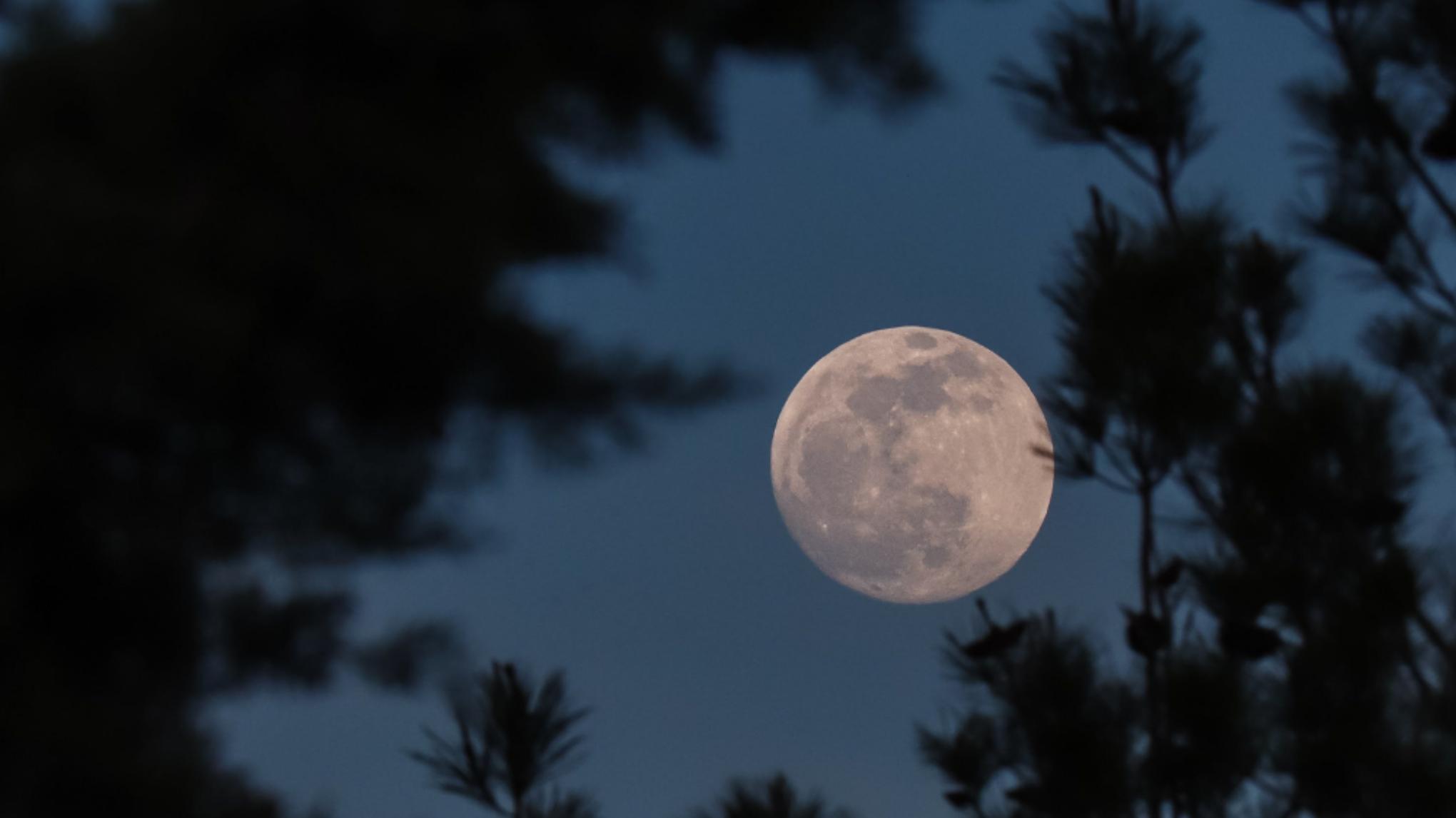 🌕 PLEINE LUNE #octobre - Puissance & Affirmation