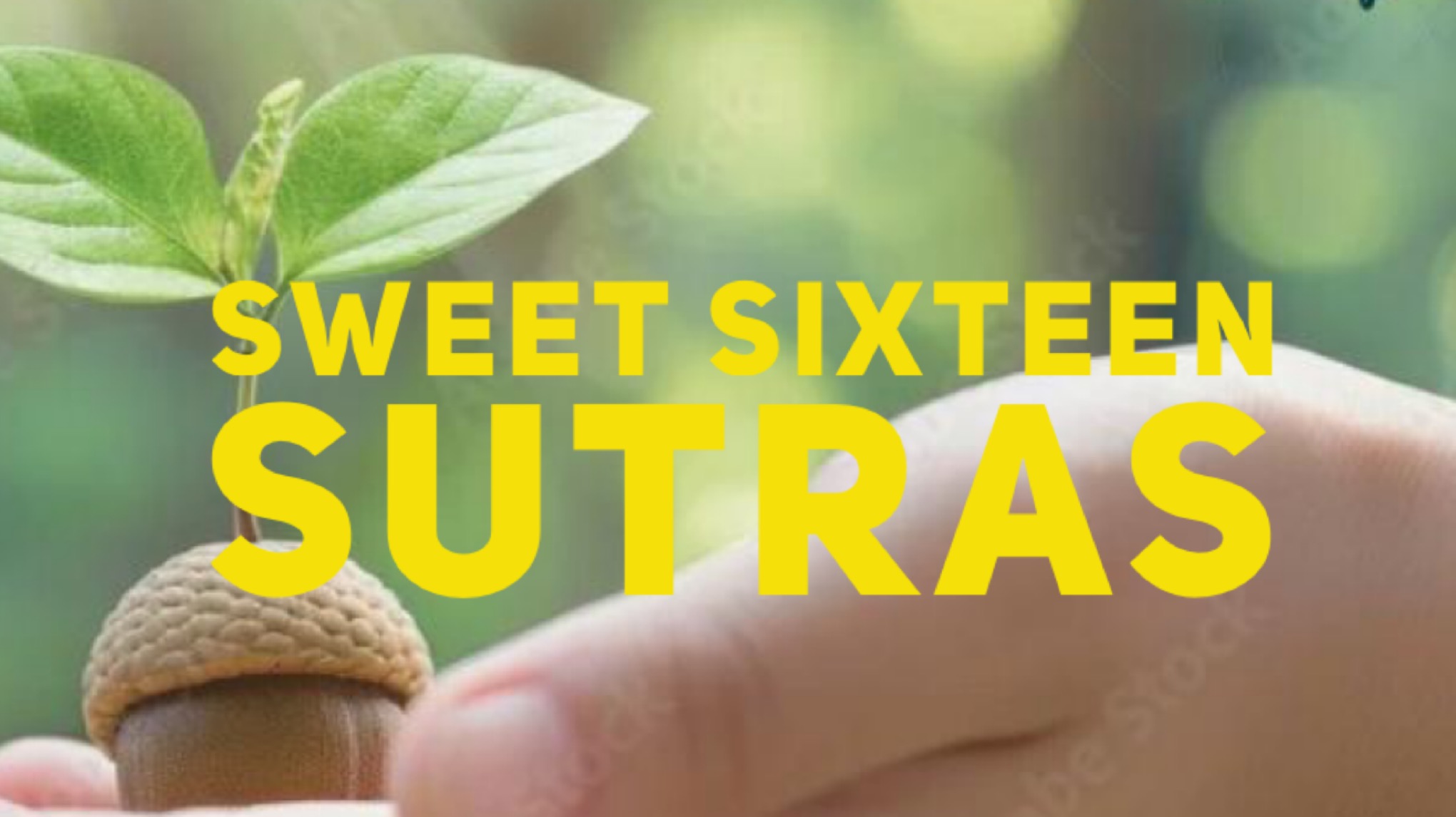 Sweet Sixteen Sutras Seed workshop