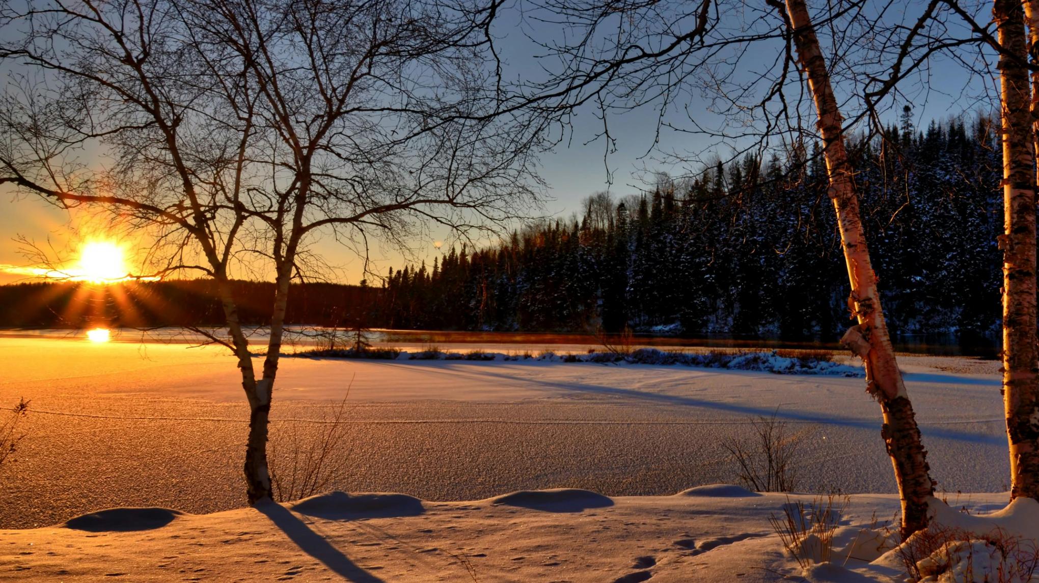 Winter Solstice Special: Yoga & Reiki XL ❄️