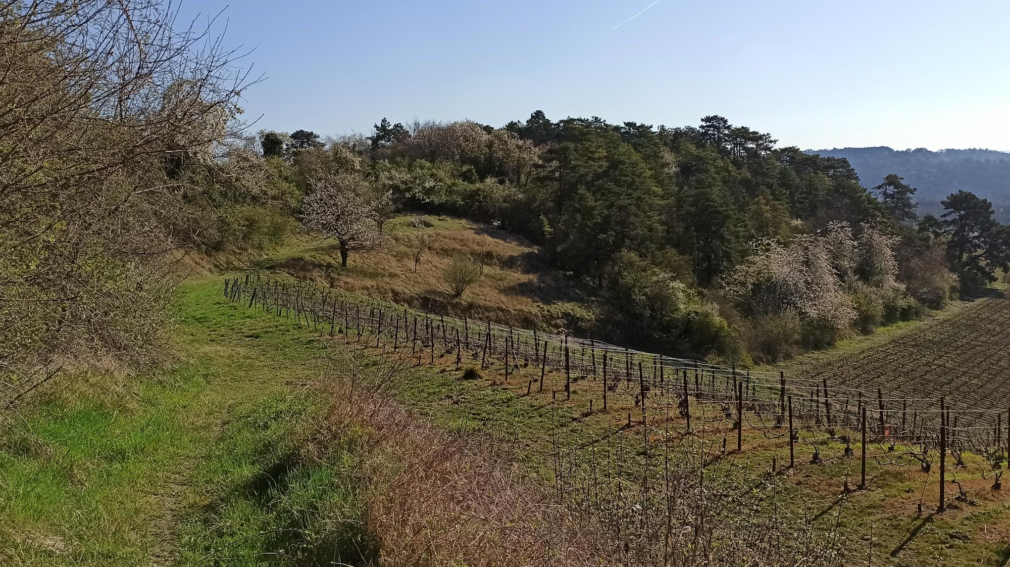 Randonnée Yoga - Trigny