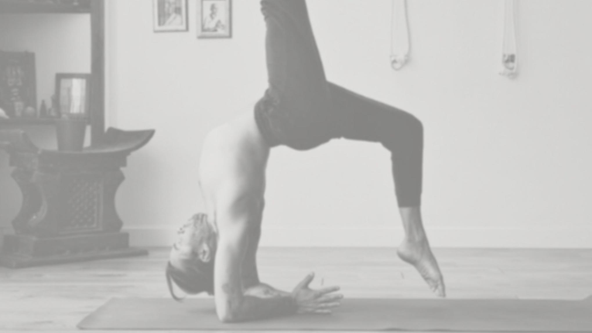 BANDHAS Y TRANSICIONES