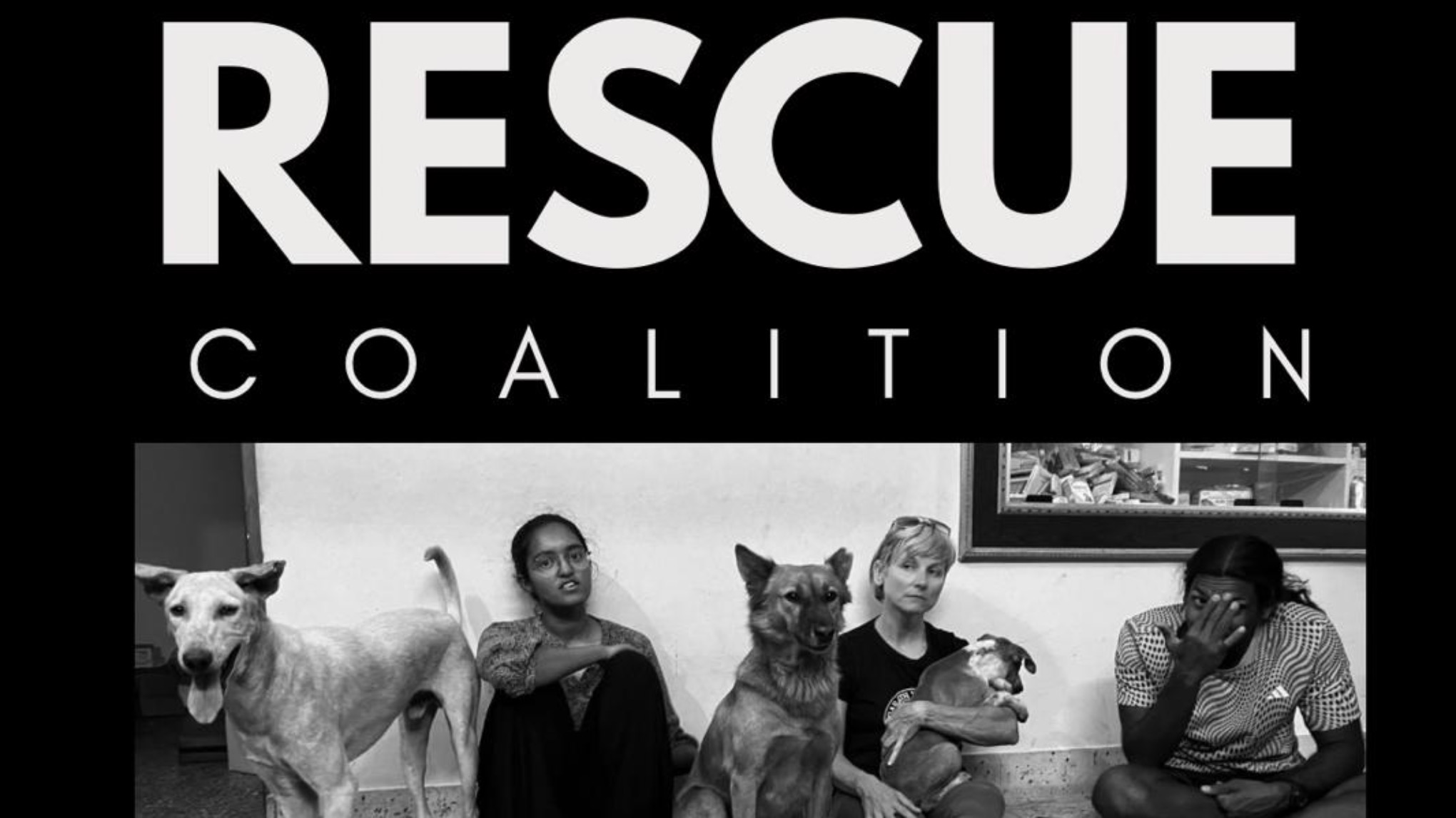 Dog rescue fundraiser 🐾