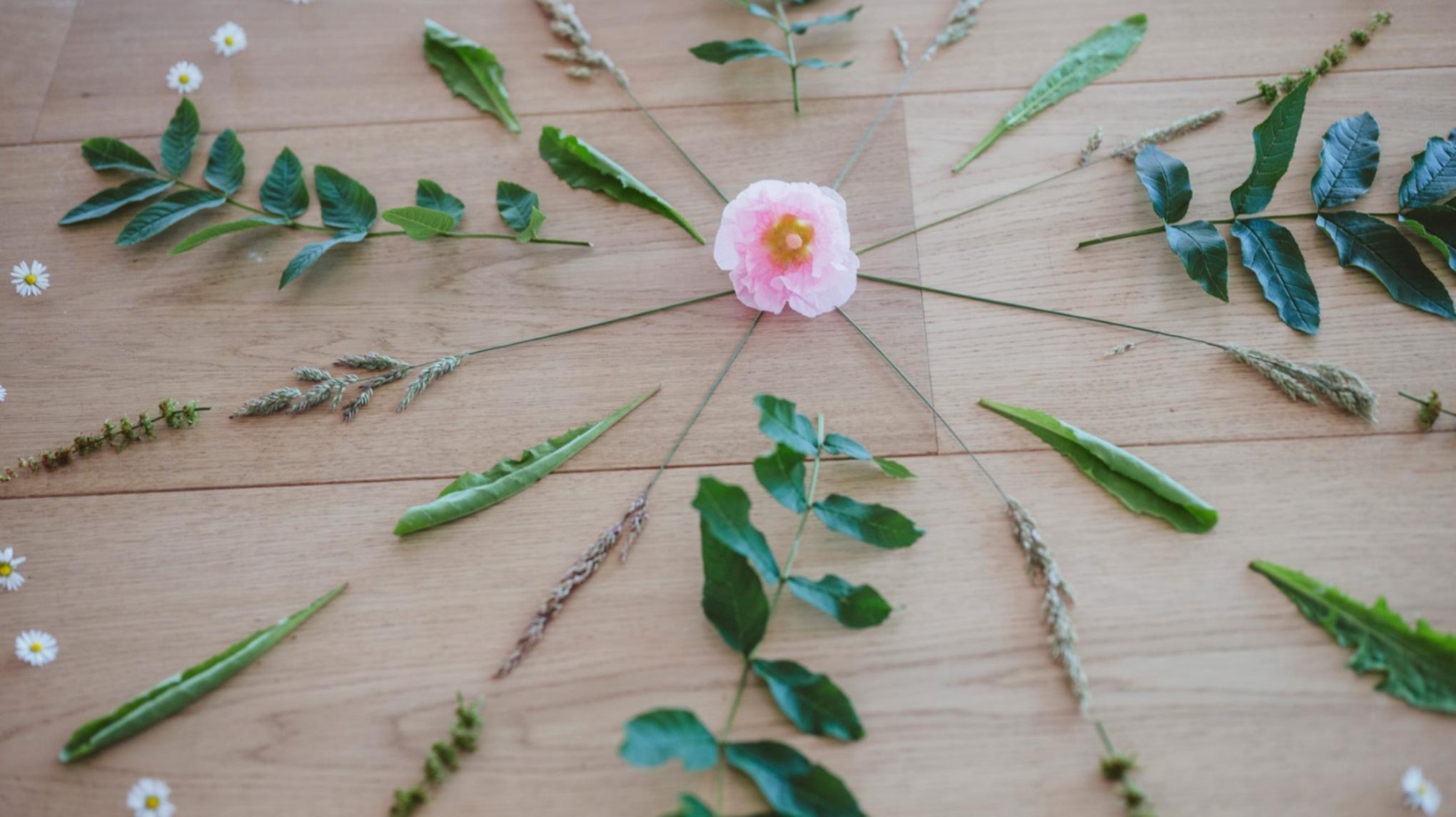 Ademcirkel met Lotus Bloesem– Ontdek de kracht van bewust ademen