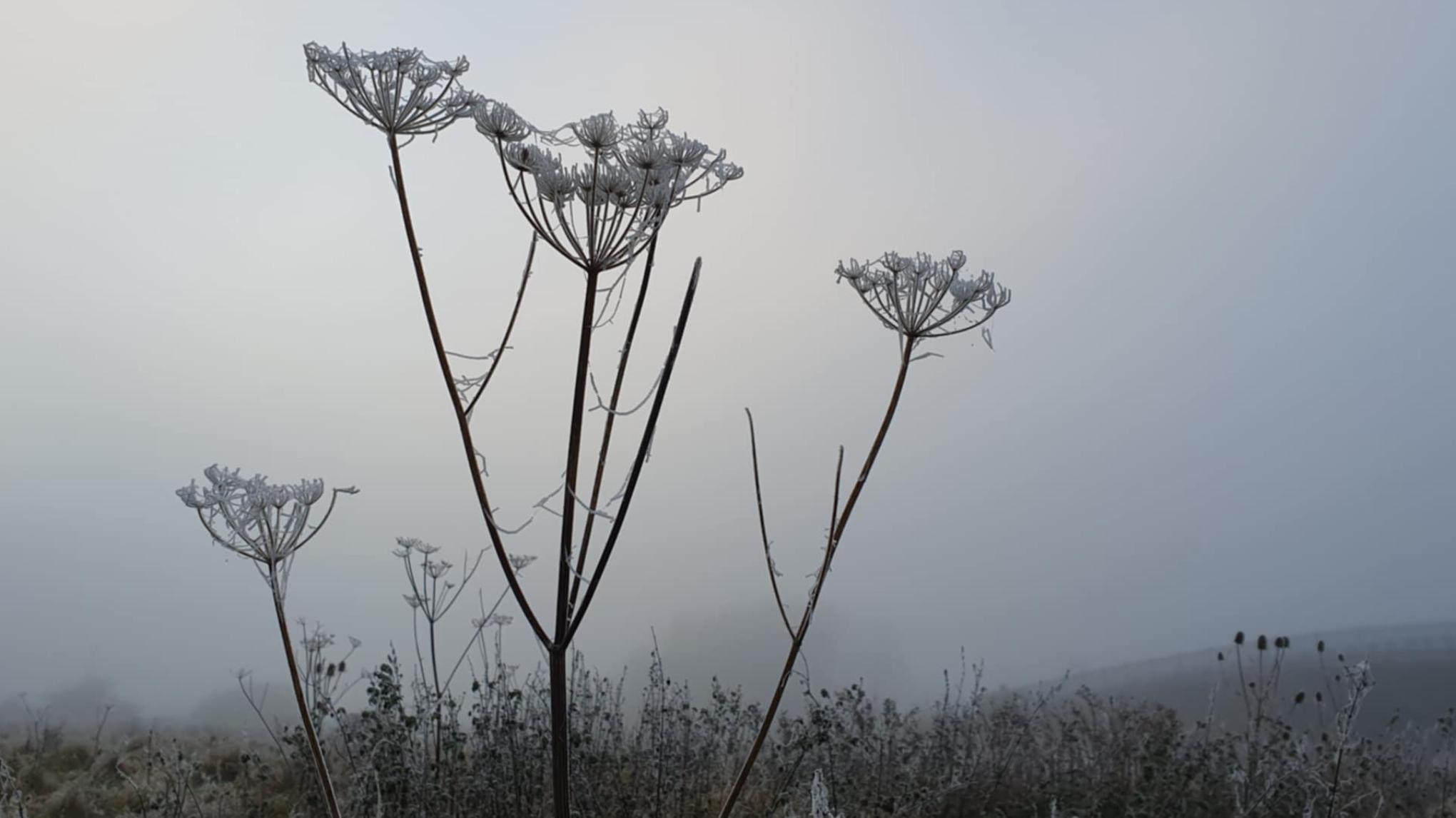 The Still Point: Yoga Day Retreat - 24 January 2026 - £80
