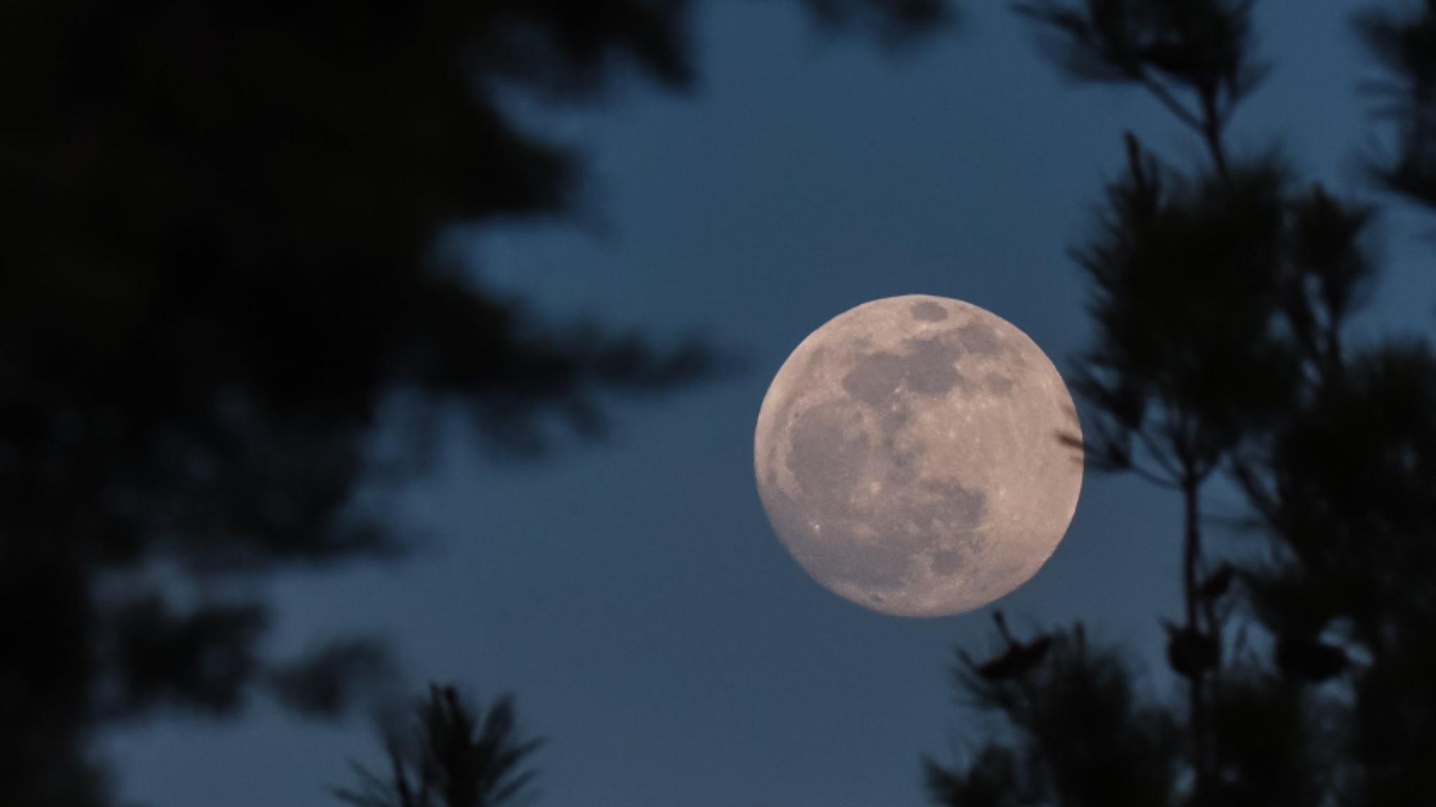 🌕 PLEINE LUNE #novembre - Puissance & Affirmation