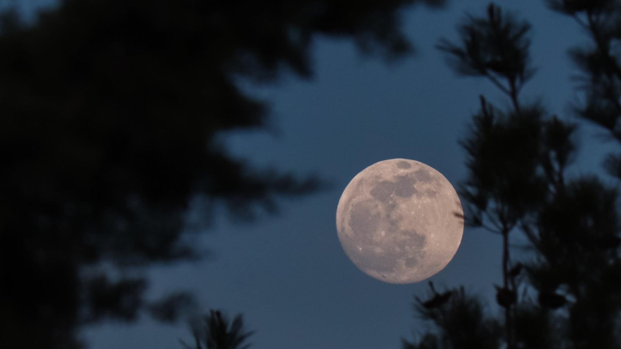 🌕 PLEINE LUNE #décembre - Expression & Légèreté