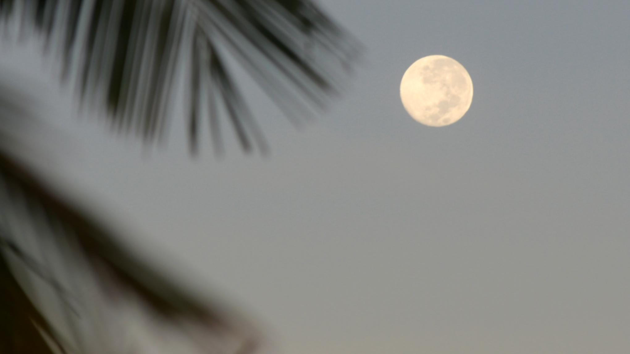 YIN + SOUND BATH 🌙 pour célébrer la pleine lune.