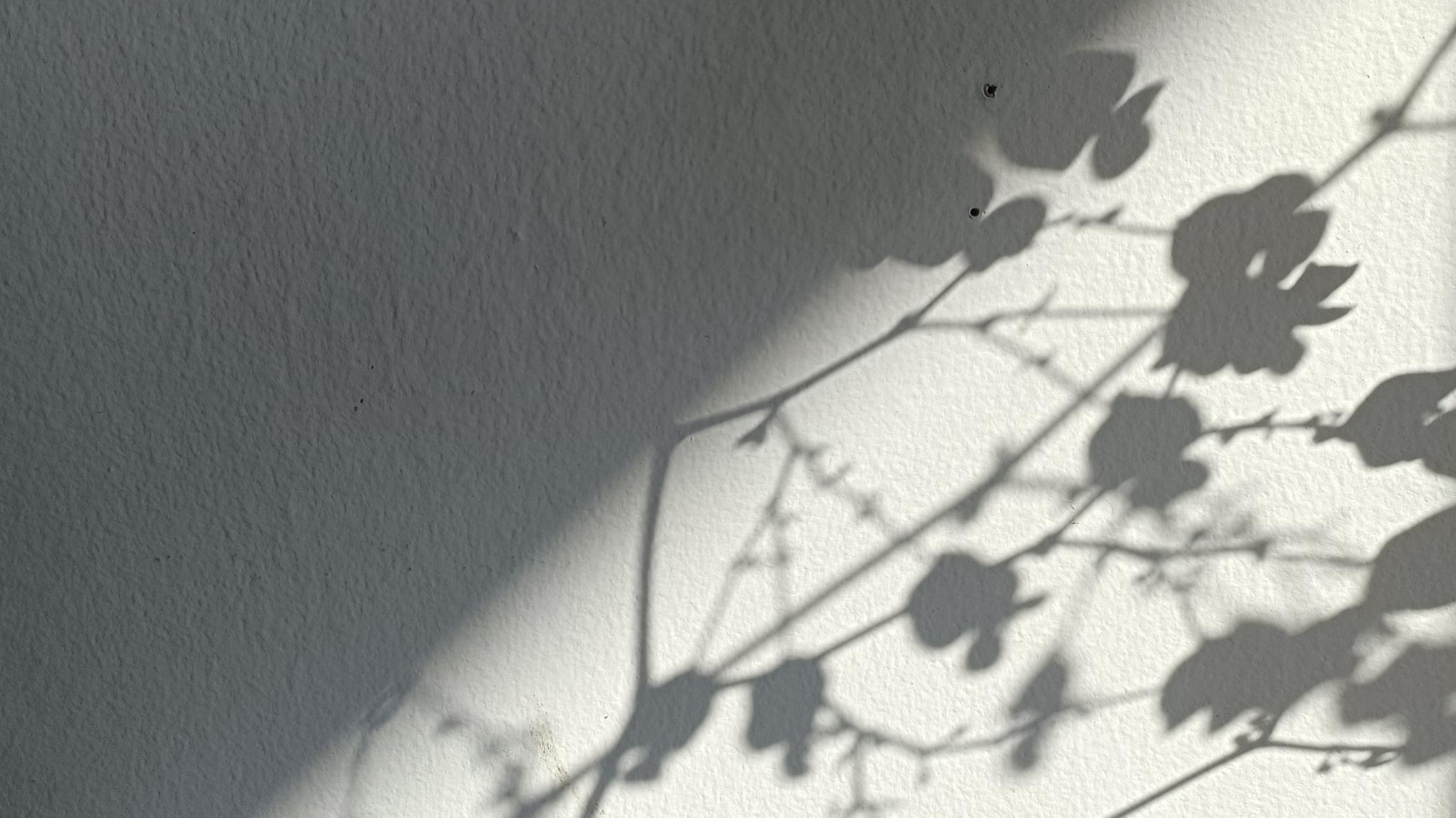 Sadhâna d'hiver (atelier généreux)