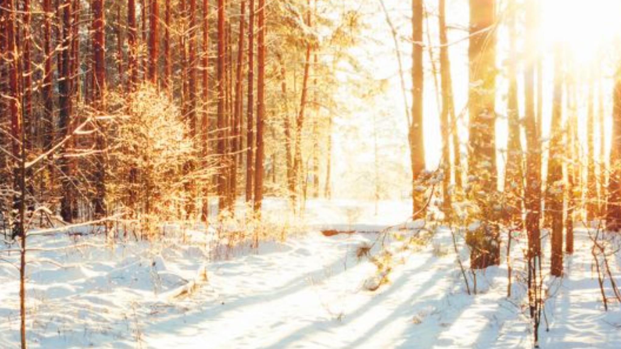 Atelier Yoga – l'Hiver