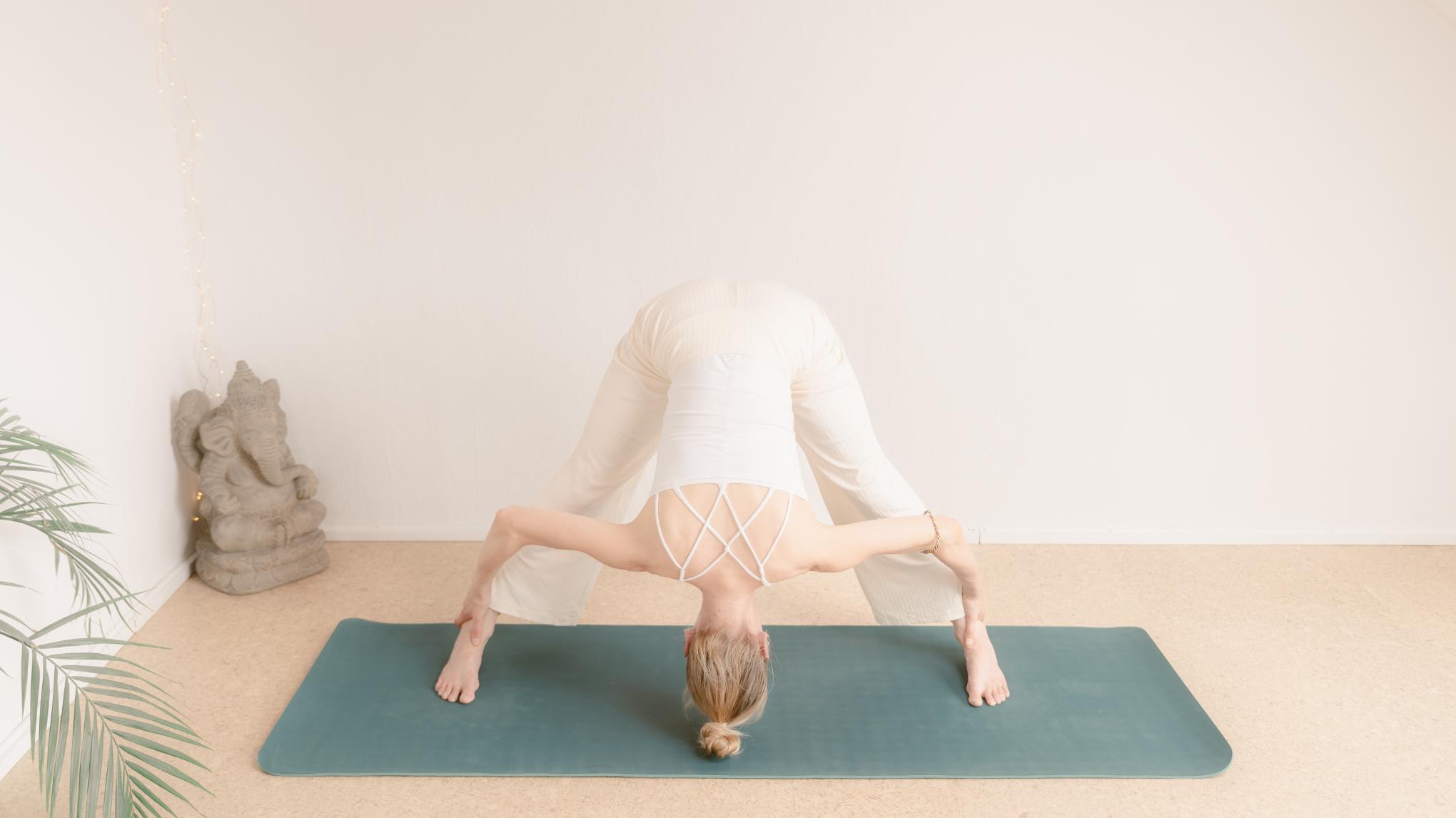 Online Ananda Yoga Klasse