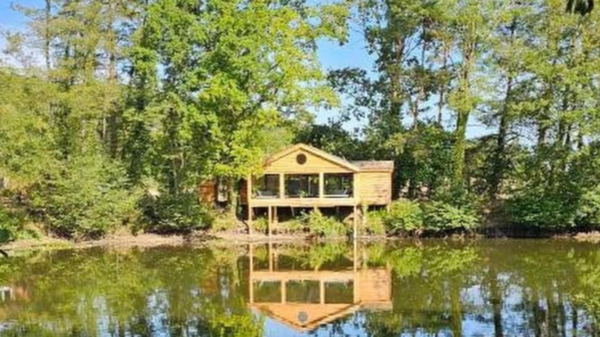 Afternoon retreat at Wild Wood