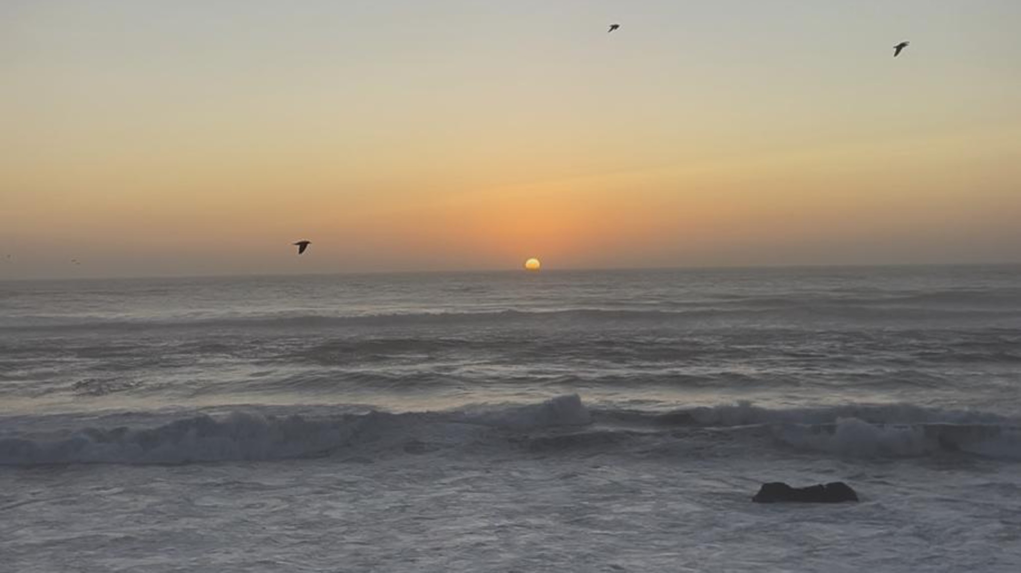 o caminho de volta a ti - módulo 1 - quem sou Eu? de verdade?