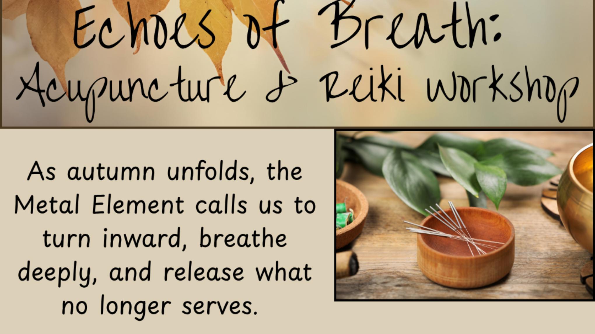 Echoes of Breath: Acupuncture & Reiki Workshop