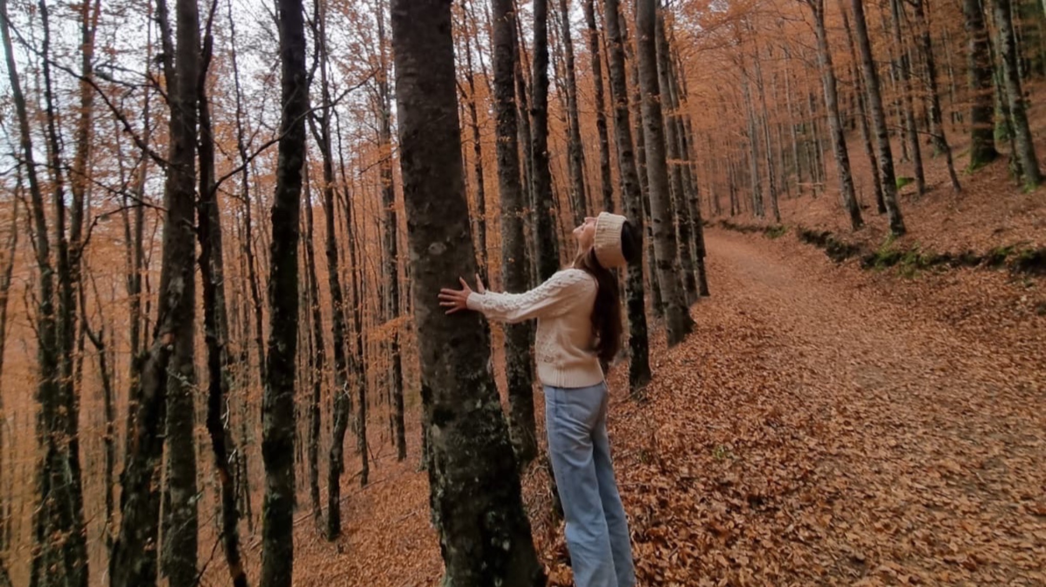 aula alargada: abraçar o outono
