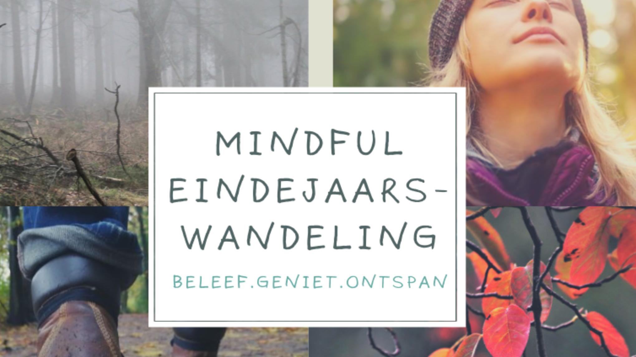 Mindful Eindejaars Stiltewandeling